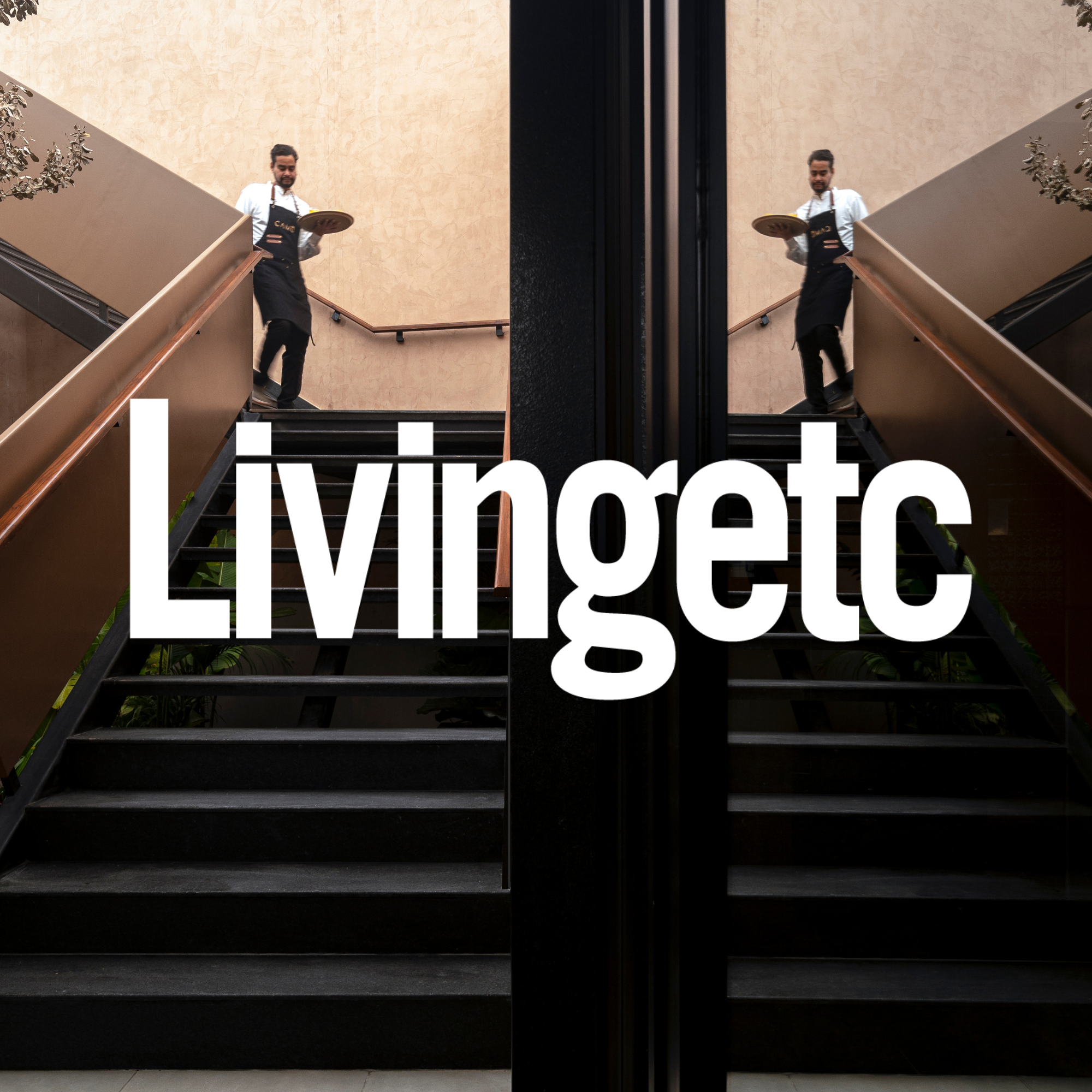 A symmetrical staircase view with two same-sized men at the top, standing on opposite sides. The photo is taken from the bottom, looking up, and a mirror divides the image in the middle. The word 'Livingtec' is overlaid in bold white letters.