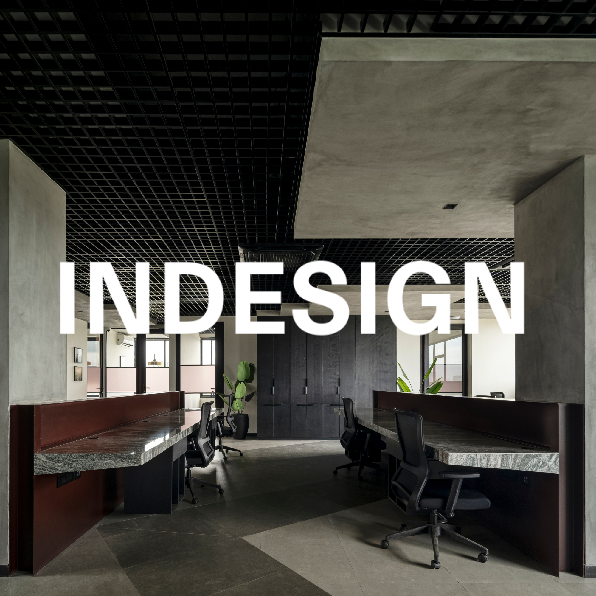 Modern office space with two workstations with chairs, potted plants, large windows, and dark wooden cabinets.