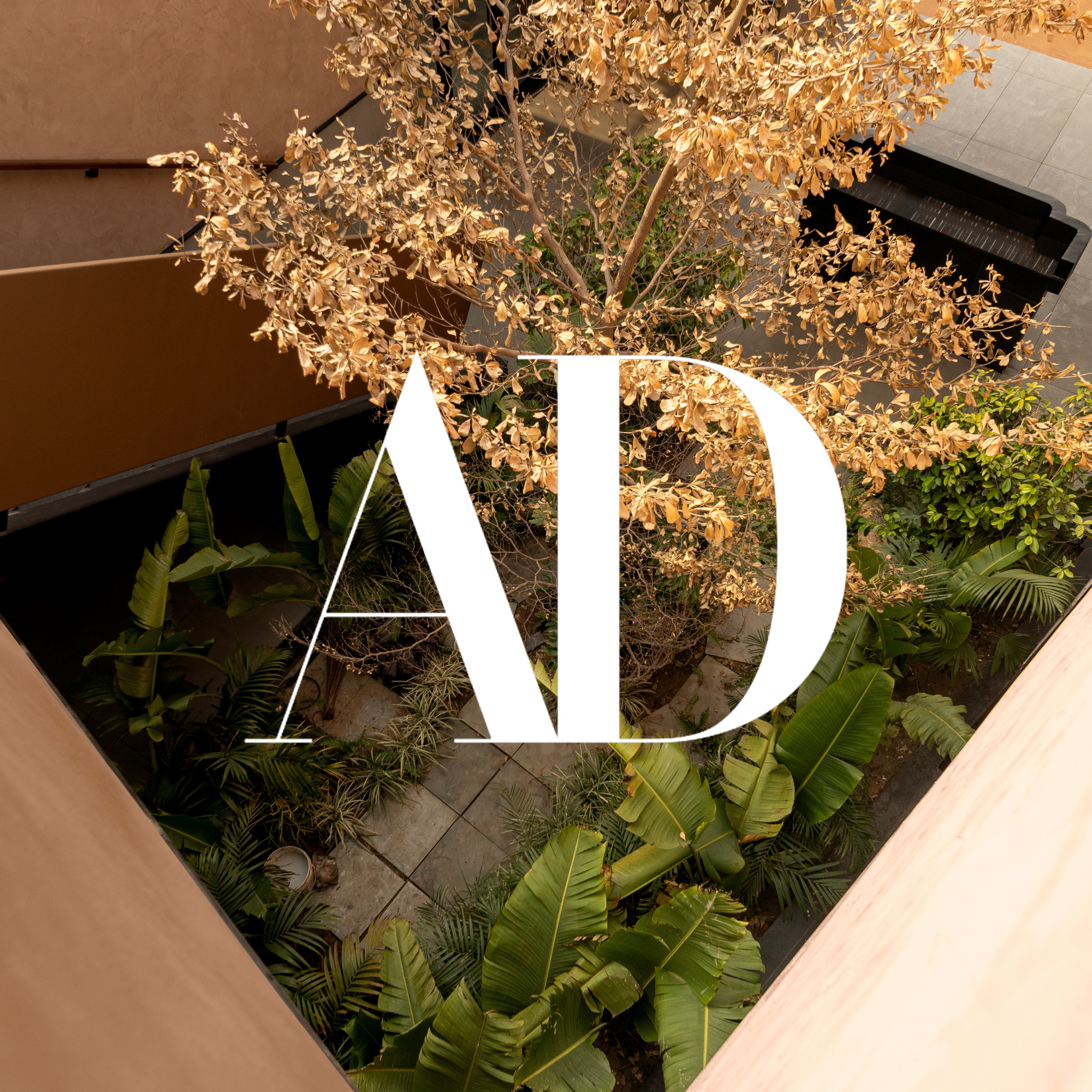 View of an indoor courtyard with lush green plants and a dried tree, with the letters 'AD' overlaid in white.