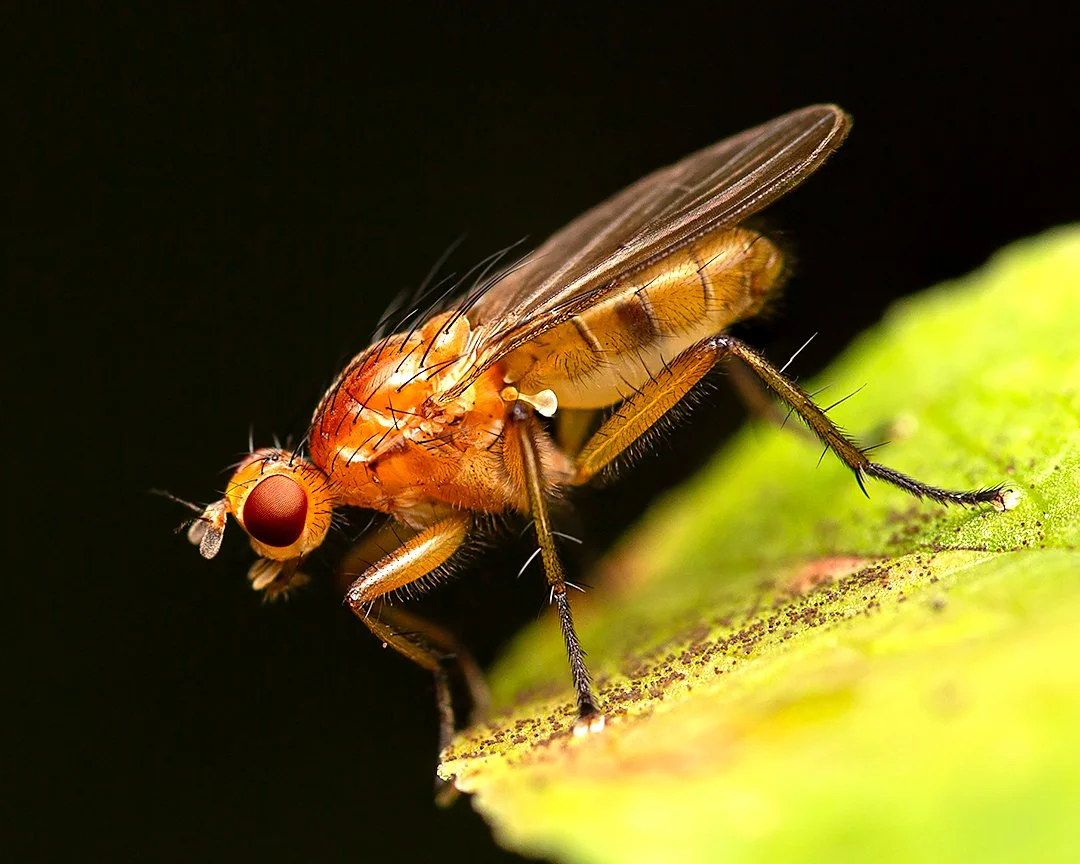 PM1A1343-Ai-1080px-OutPut 01.jpg