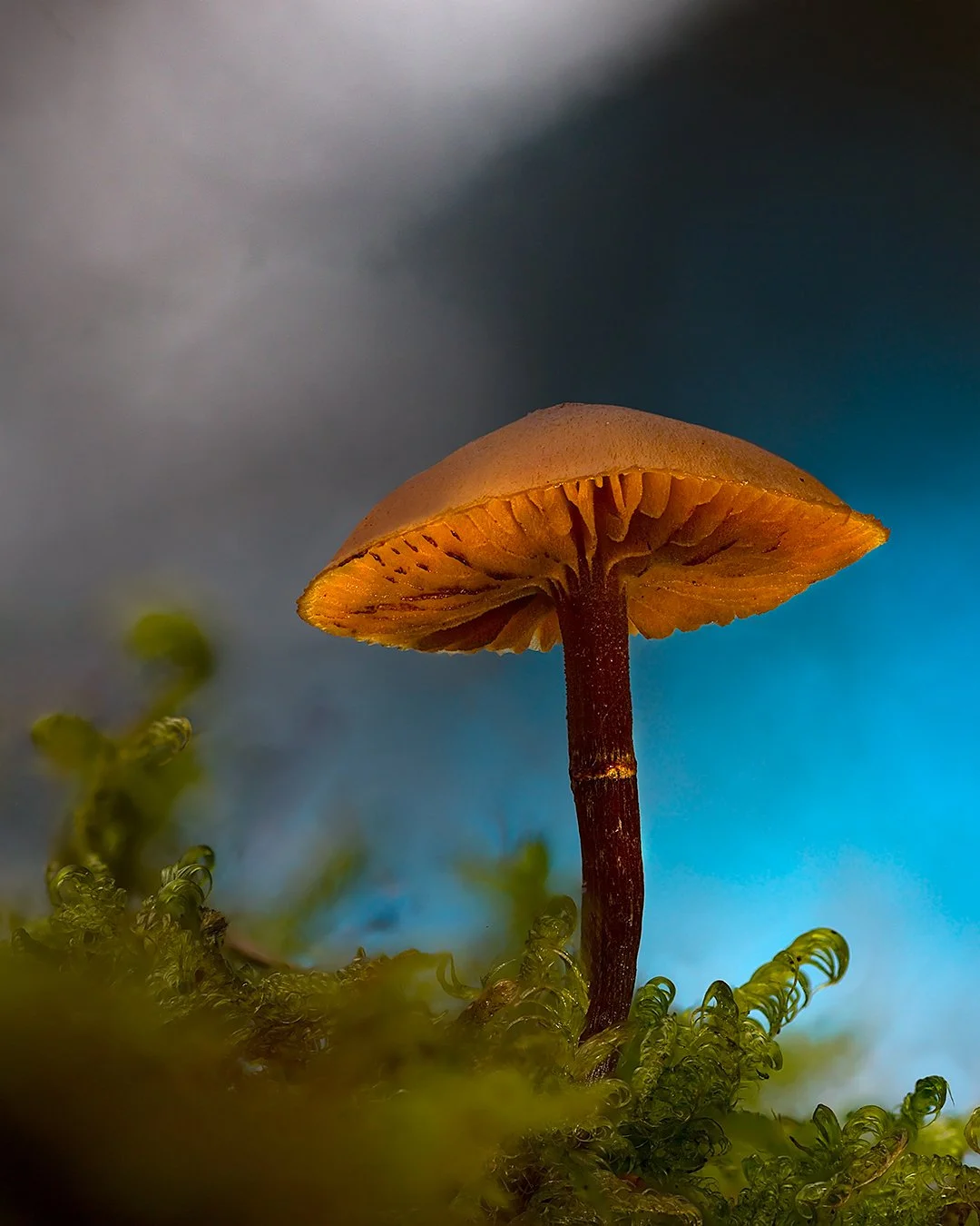 2025-10-25 18-51-25 (B,R8,S2)-Ai-1080px-AnpassLager-Output.jpg