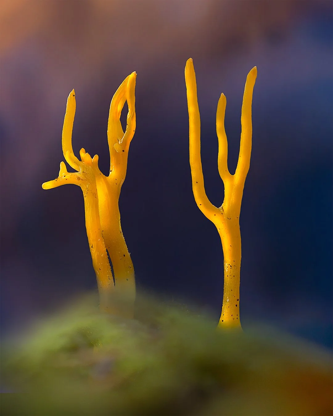 2025-10-25 15-38-24 (B,R8,S2)-ai-1080px-Output.jpg