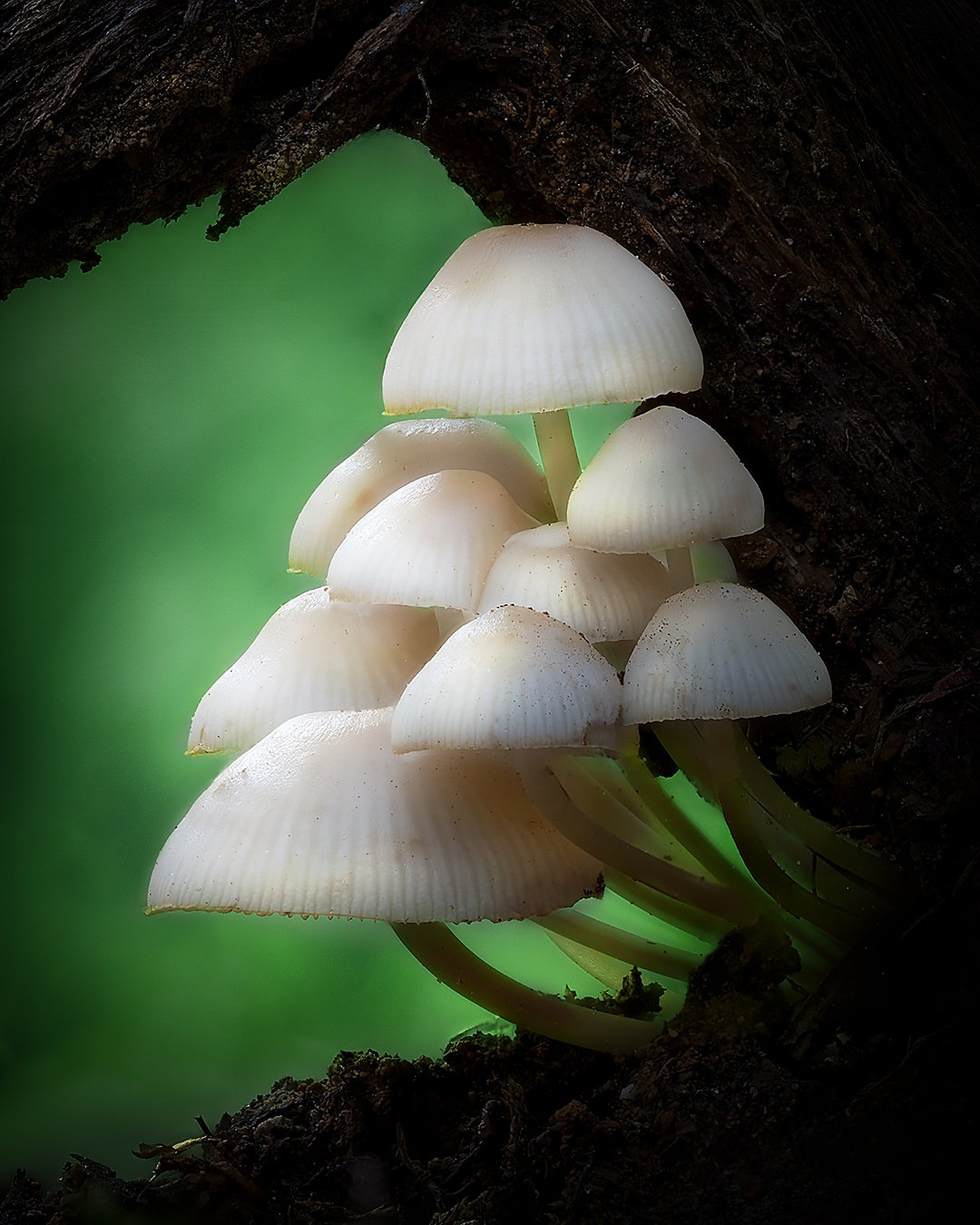 2025-08-17 22-20-12 (C,S4)-ImapixPhoto-1080px-Output.jpg