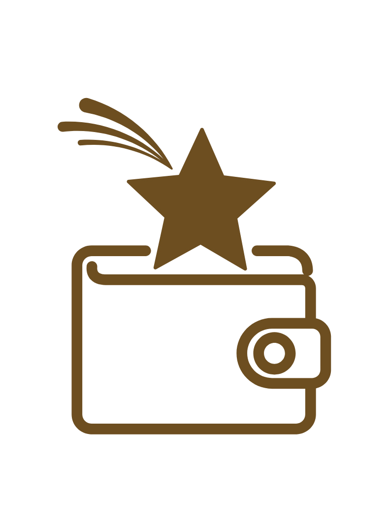 Icon of a wallet with a star and shooting star above it, in gold color.