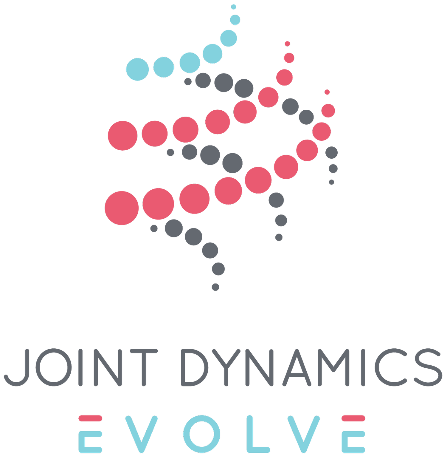Joint Dynamics Evolve