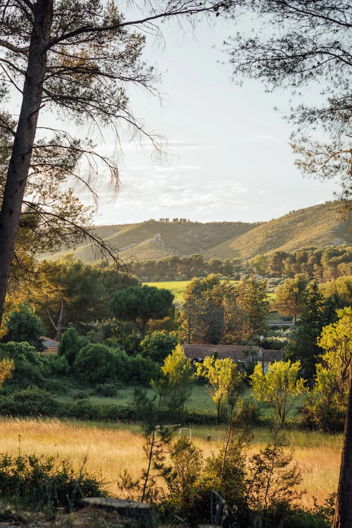 Paysage de collines verdoyantes avec arbres et maisons sous un ciel clair au coucher du soleil.