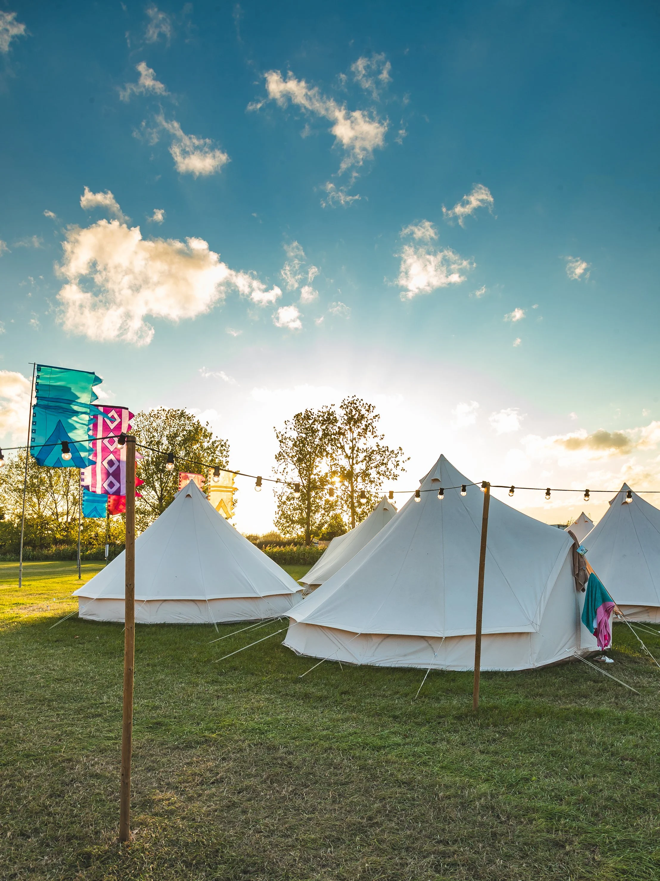 LENDABLE ROOT AND RAVE 2025-23.jpg