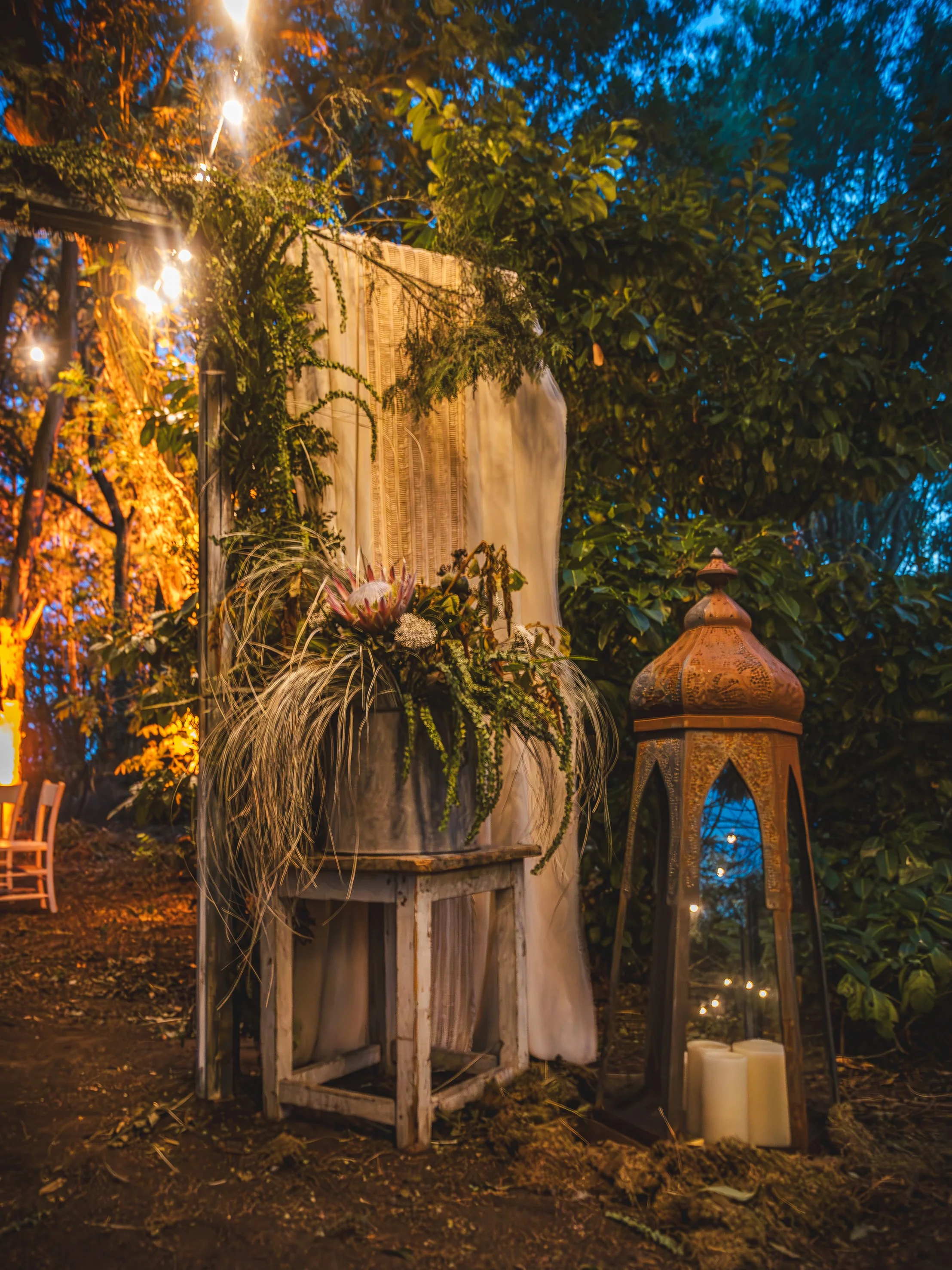 LENDABLE ROOT AND RAVE 2025-31.jpg