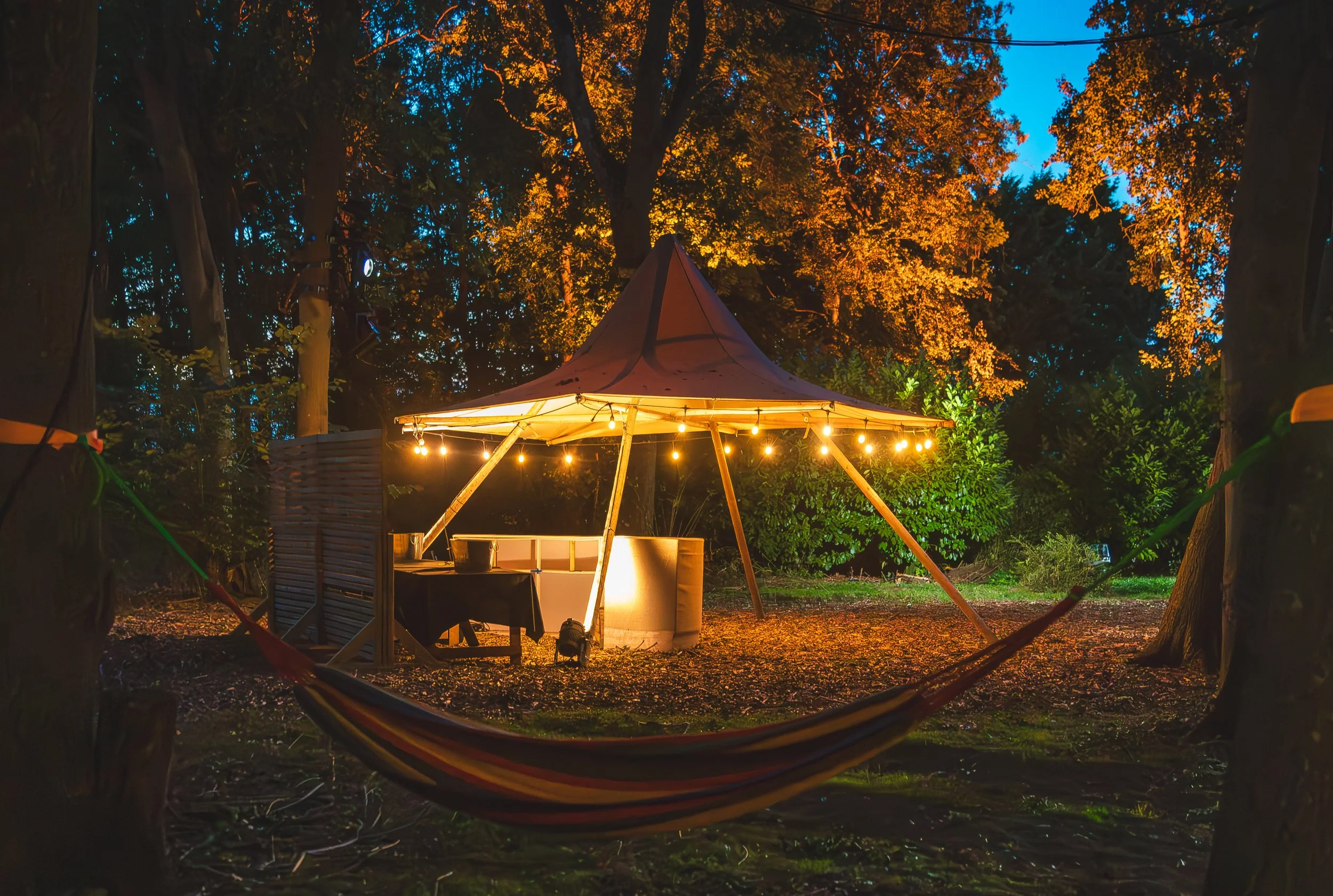 LENDABLE ROOT AND RAVE 2025-74.jpg