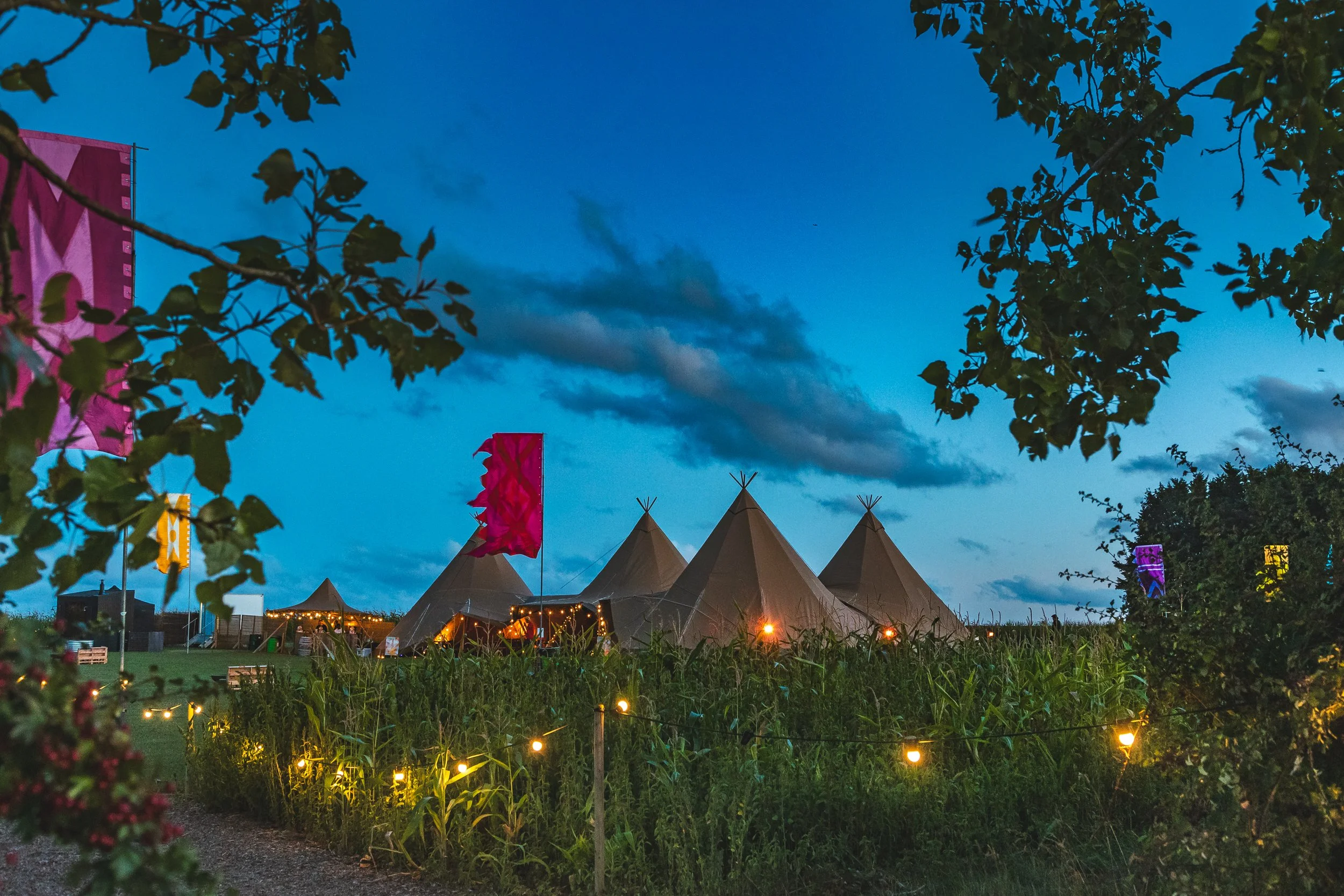 LENDABLE ROOT AND RAVE 2025-62.jpg