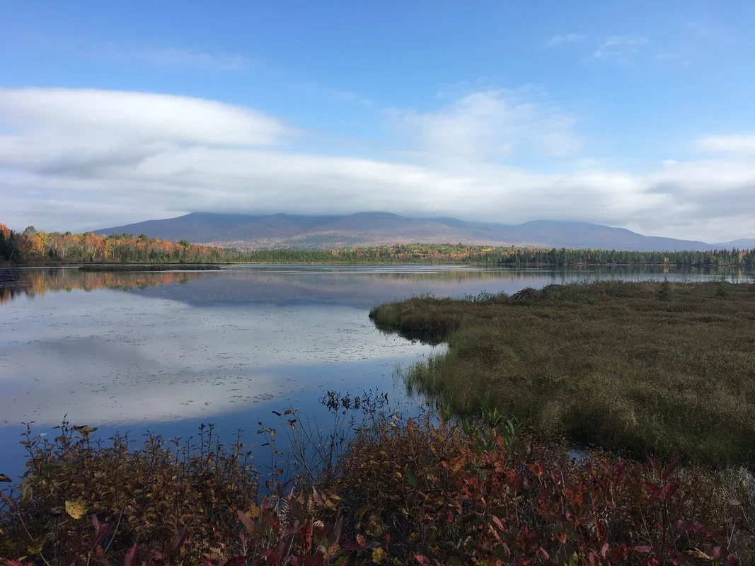 A large lake with calm water reflecting the cloudy blue sky and distant mountains, with trees showing fall colors along the shoreline.