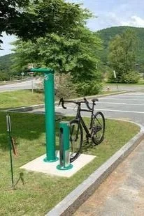 Bike rack and bike locking station next to a tree, with a grassy area and a road in the background.