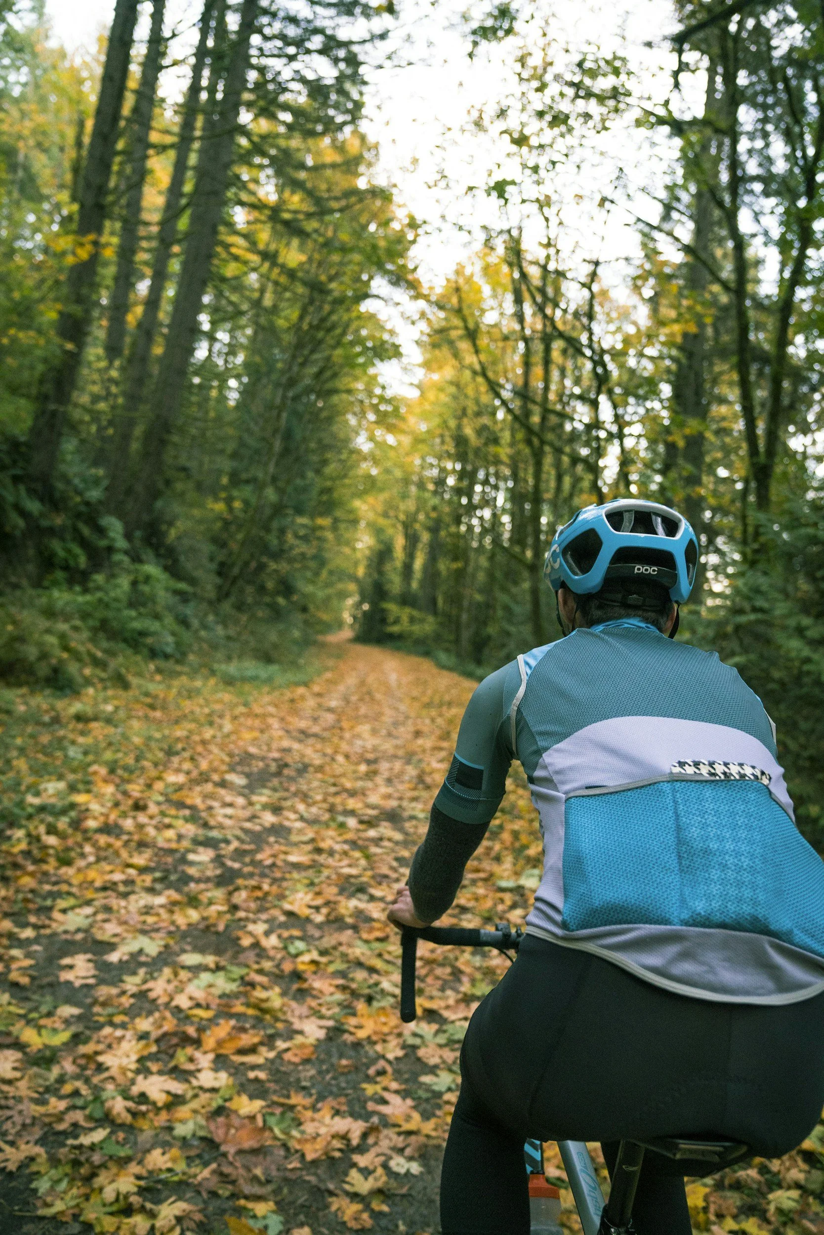 A person riding a bicycle through a forest trail covered with fallen autumn leaves.