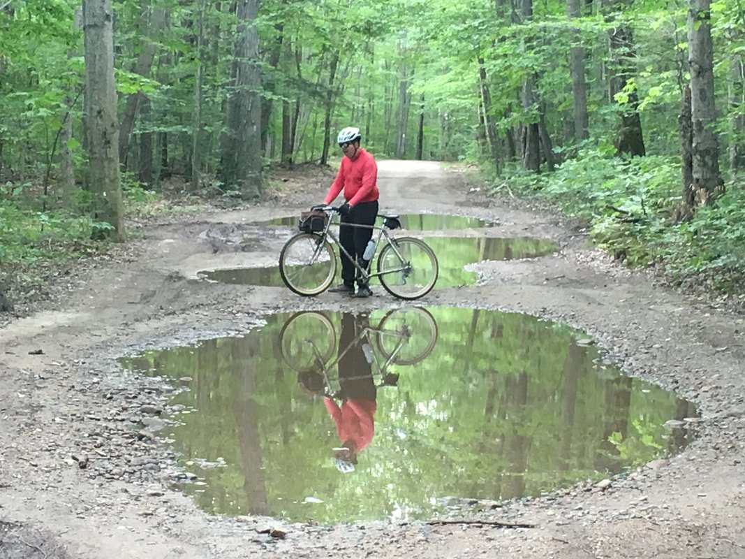 Puddles Happen, just another part of Hogan Road's personality