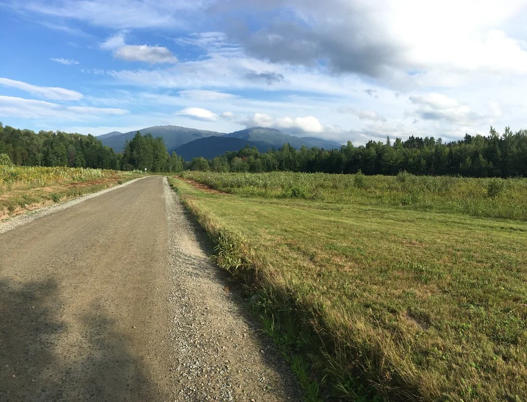 A dirt road running through a grassy field with trees on either side, mountains in the distance, and a partly cloudy sky above.