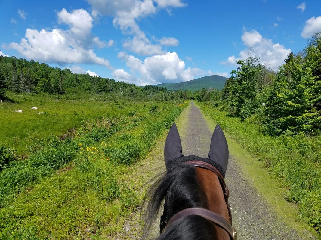 A well positioned "Between the Ears" photo of the view heading towards Gorham on the Presidential Rail Trail