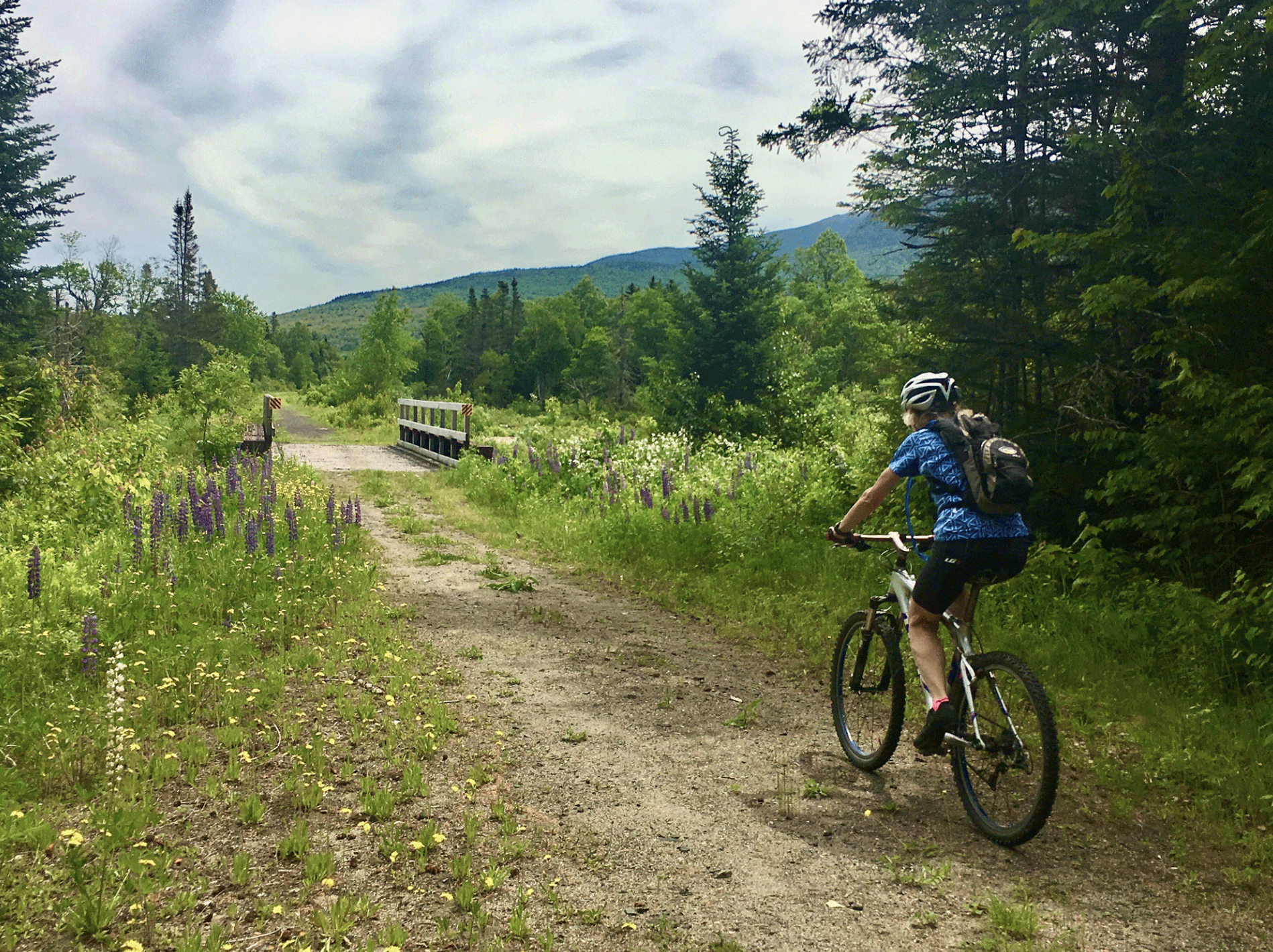 A person riding a mountain bike on a dirt trail through a lush green forest with purple and white wildflowers, a small bridge ahead, and mountains in the background under a partly cloudy sky.