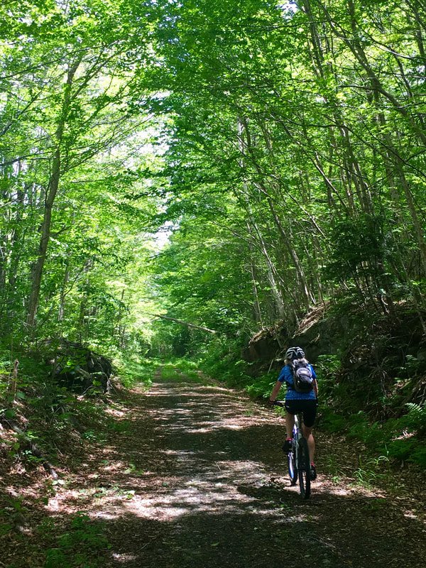 The Green Tunnel provides cool summertime respite from the hot sunshine
