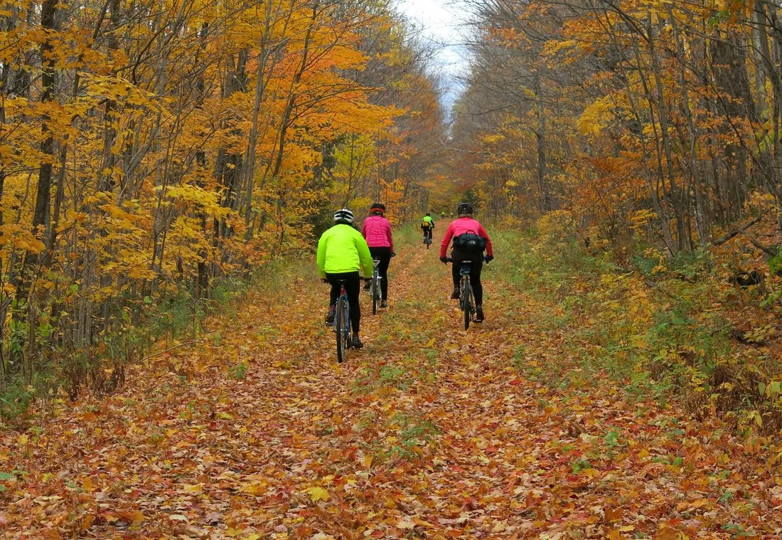 Late October riding through the bronze, copper and gold tunnel