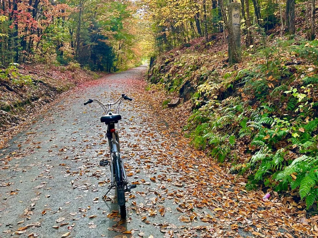 Here is the finished product... smooth and solid, great for trail users of all ages and abilities, plus resistant to weather challenges! Thank you Merritt Gifford for your beautiful photo!