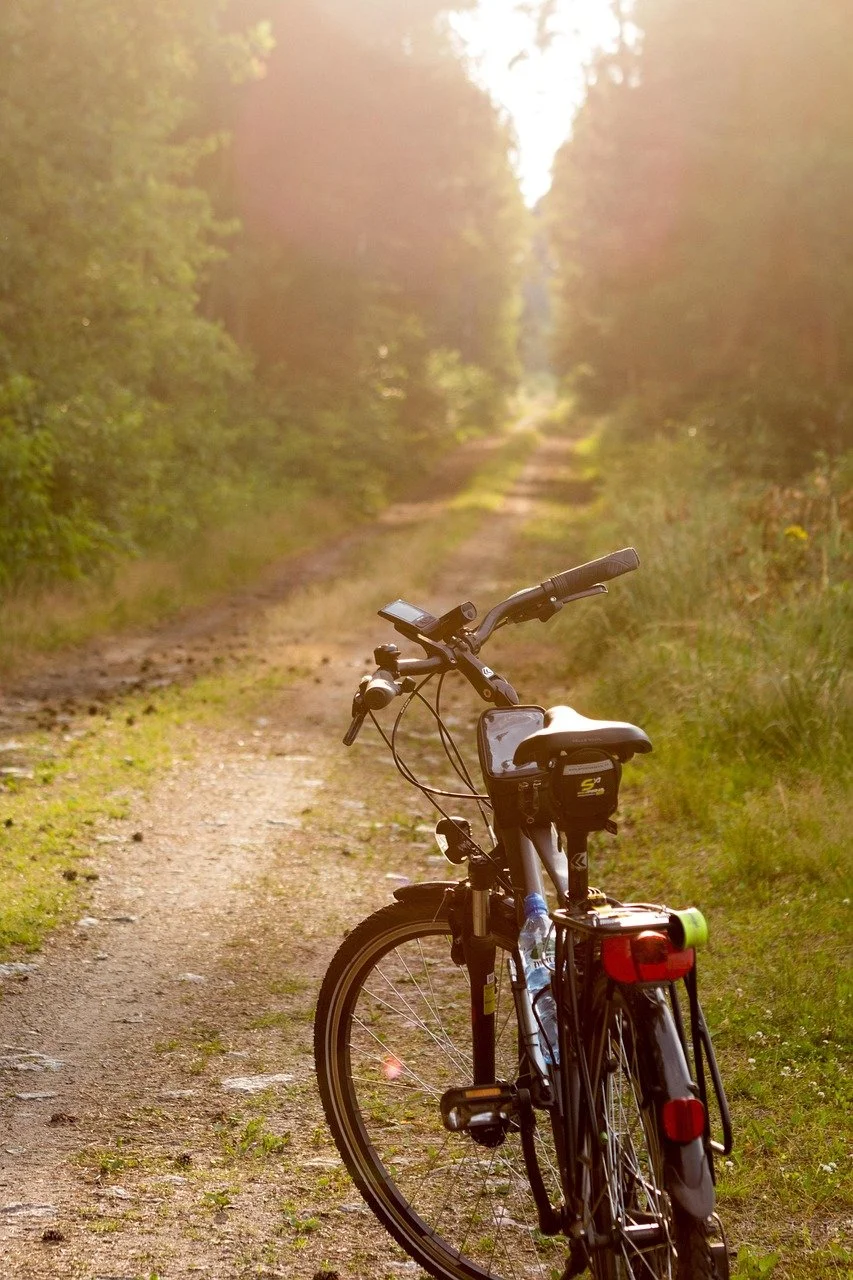 Electric bicycle parked on a dirt trail surrounded by green trees, with sunlight shining through the foliage.