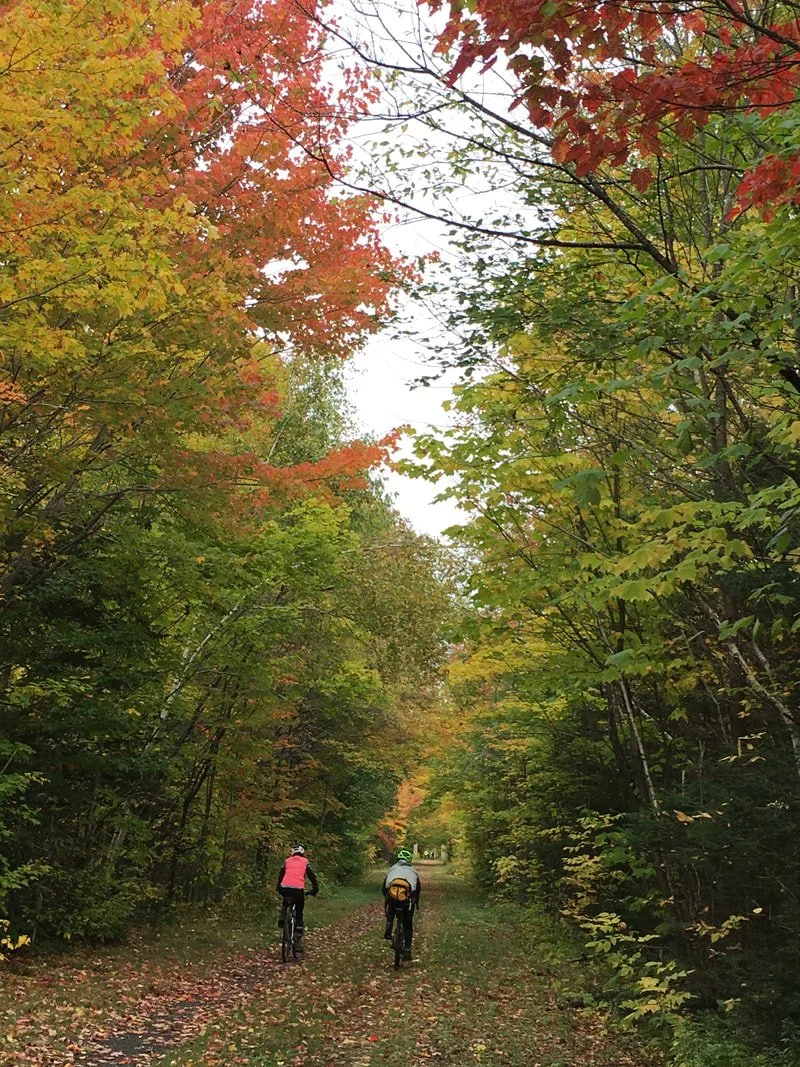 Two people riding bikes on a dirt path through a forest with fall foliage, showing trees with green, yellow, and red leaves.
