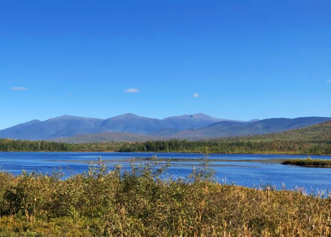 A scenic view of a lake with blue water, surrounded by greenery, with mountains in the background under a clear blue sky.