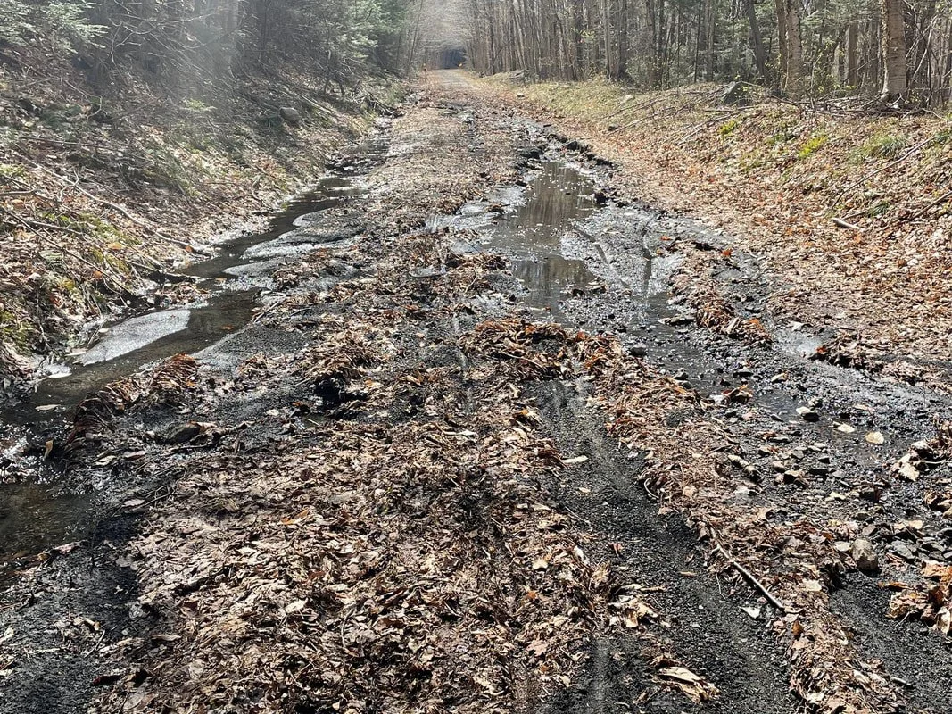 Presidential RT BEFORE: The 4" rainstorm in May of 2023 took out sections of the trail in the Randolph area.