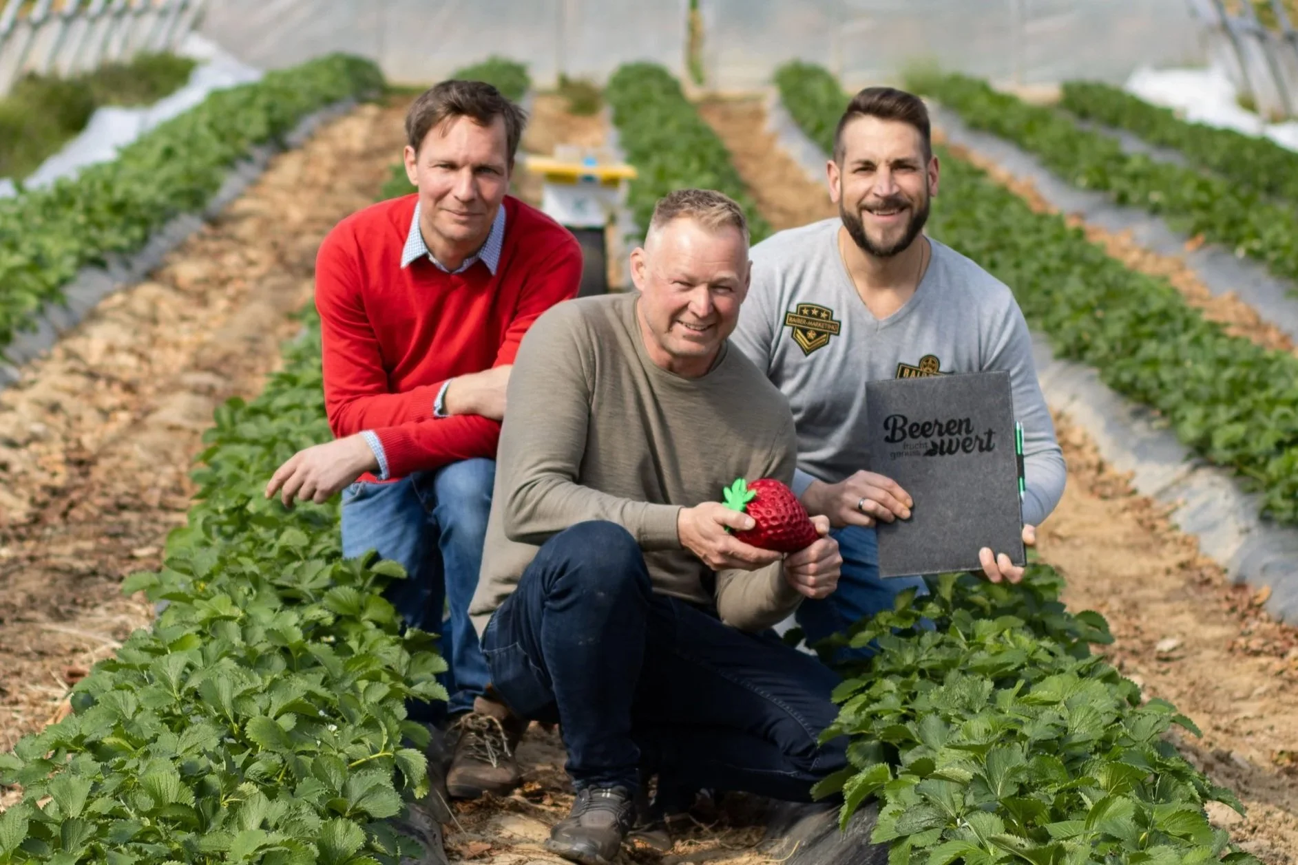 Martin Zotter, Walter Meister und Stefan Raiber im Beerenwert Erdbeertunnel inmitten der blühenden Erdbeerpflanzen