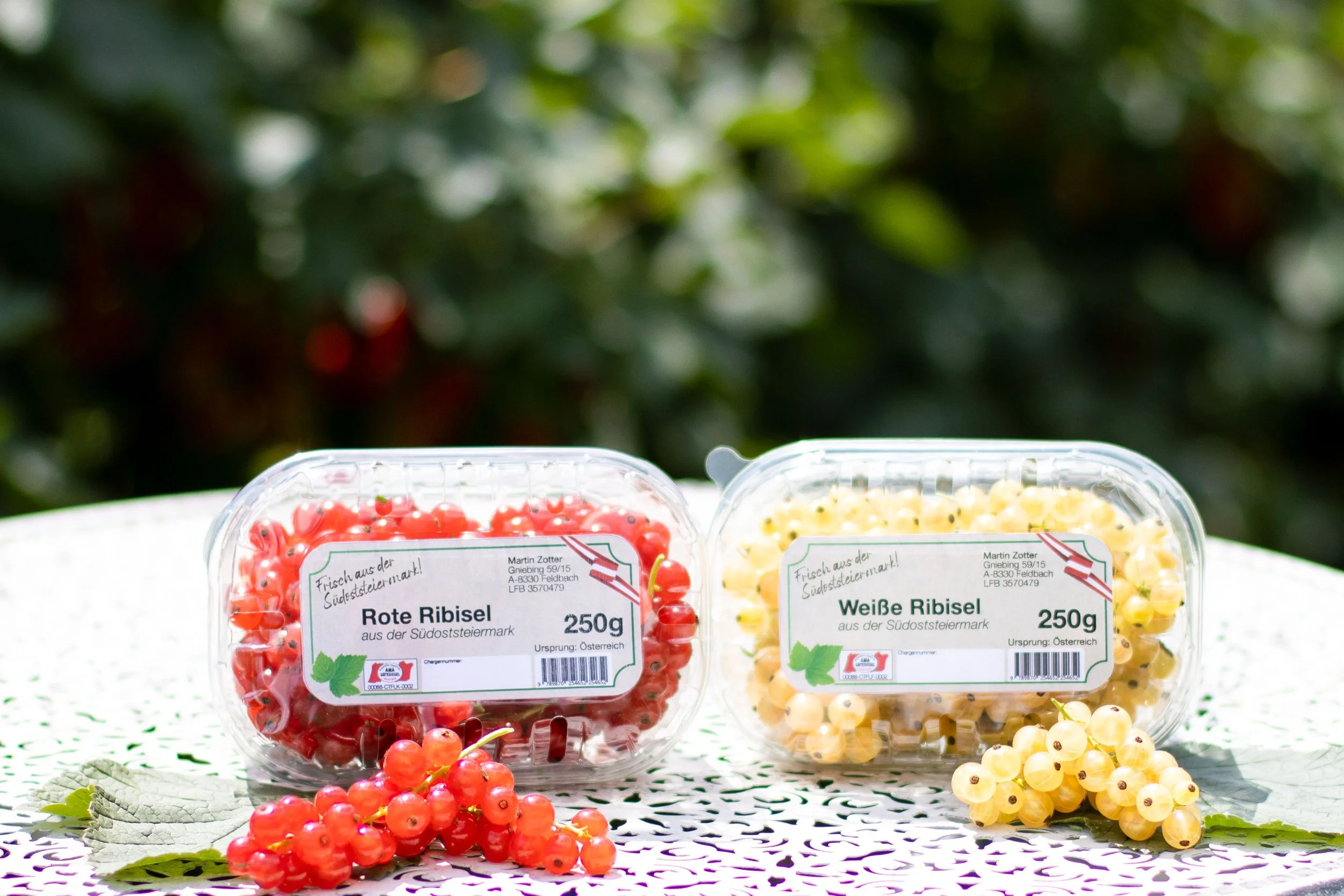 Zwei Packungen mit roten und weißen Ribiseln auf einem weißen Tisch im Freien, mit grünen Blättern im Hintergrund.