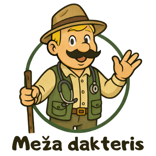 Meža Dakteris