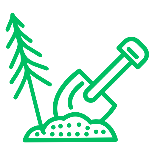 Zaļas kontūras attēls, kas attēlo lāpstu, kas iestāda jaunu priedīti.