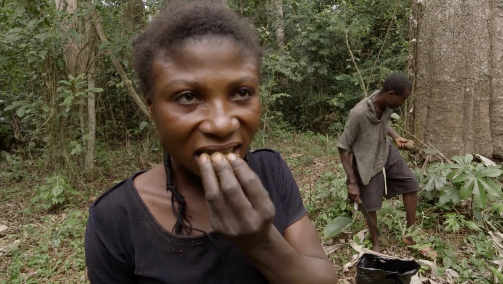 The Community Forests project aims to establish a successful model of community-based forest management, one that focuses on the rights, needs and priorities of local communities, including those of marginalized groups.