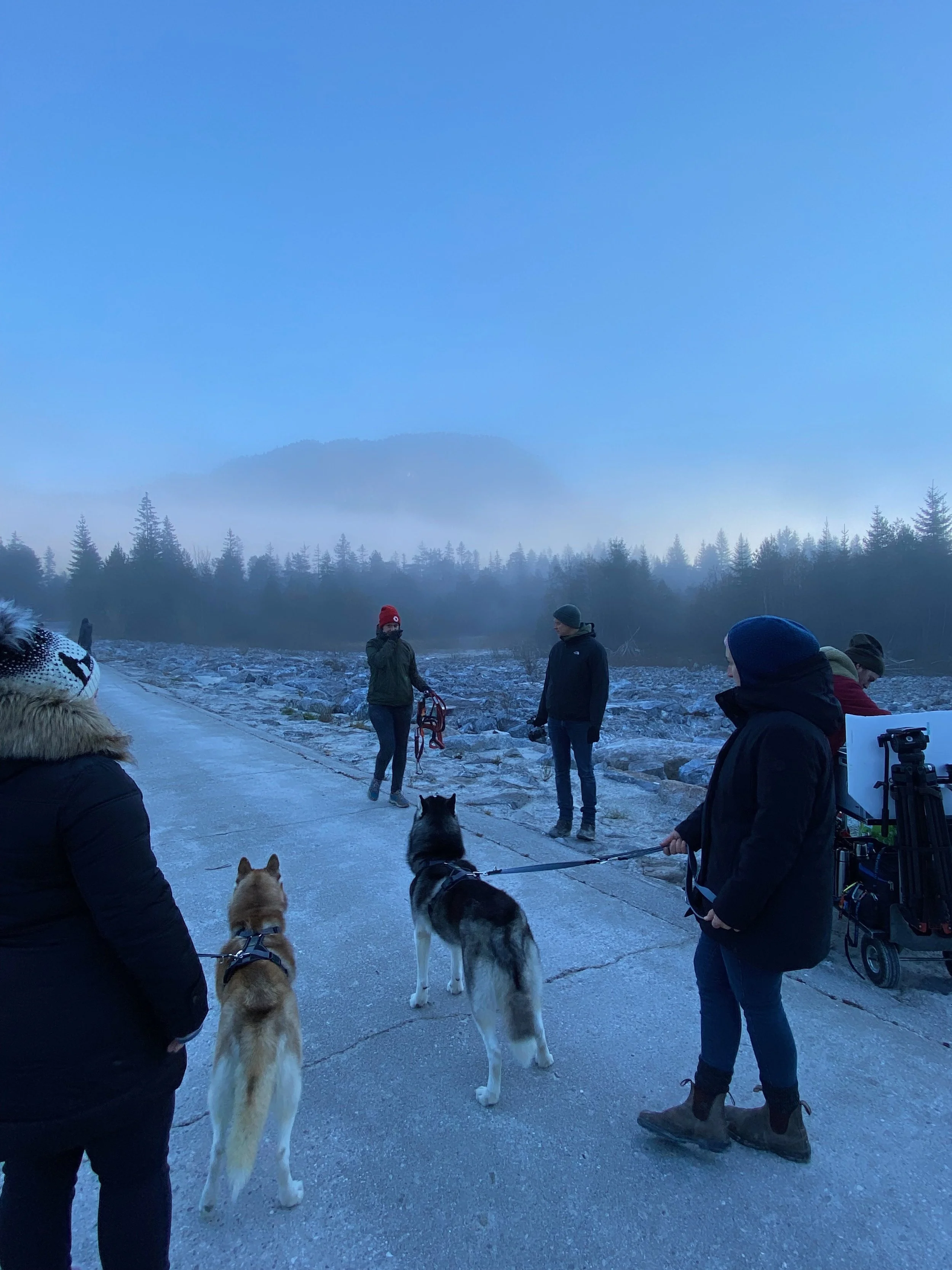 Gruppen von Menschen mit Hunden im Freien bei kaltem Wetter, mit Bergen und Wald im Hintergrund.