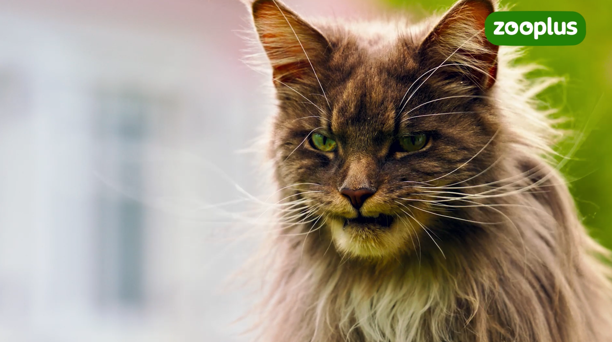 Bildschirmfoto 2026-02-11 um 11.51.42.png