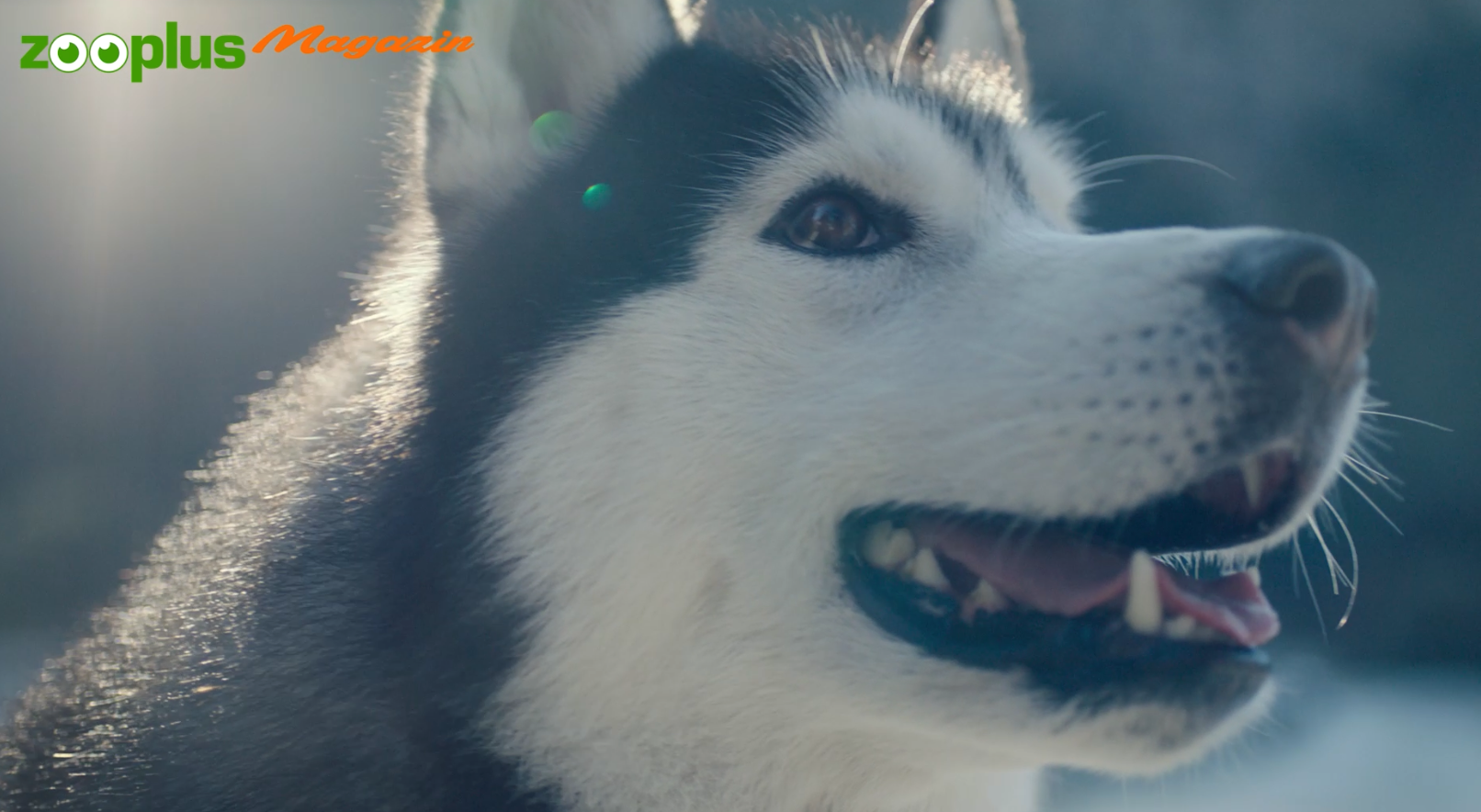 Bildschirmfoto 2026-02-10 um 16.28.46.png