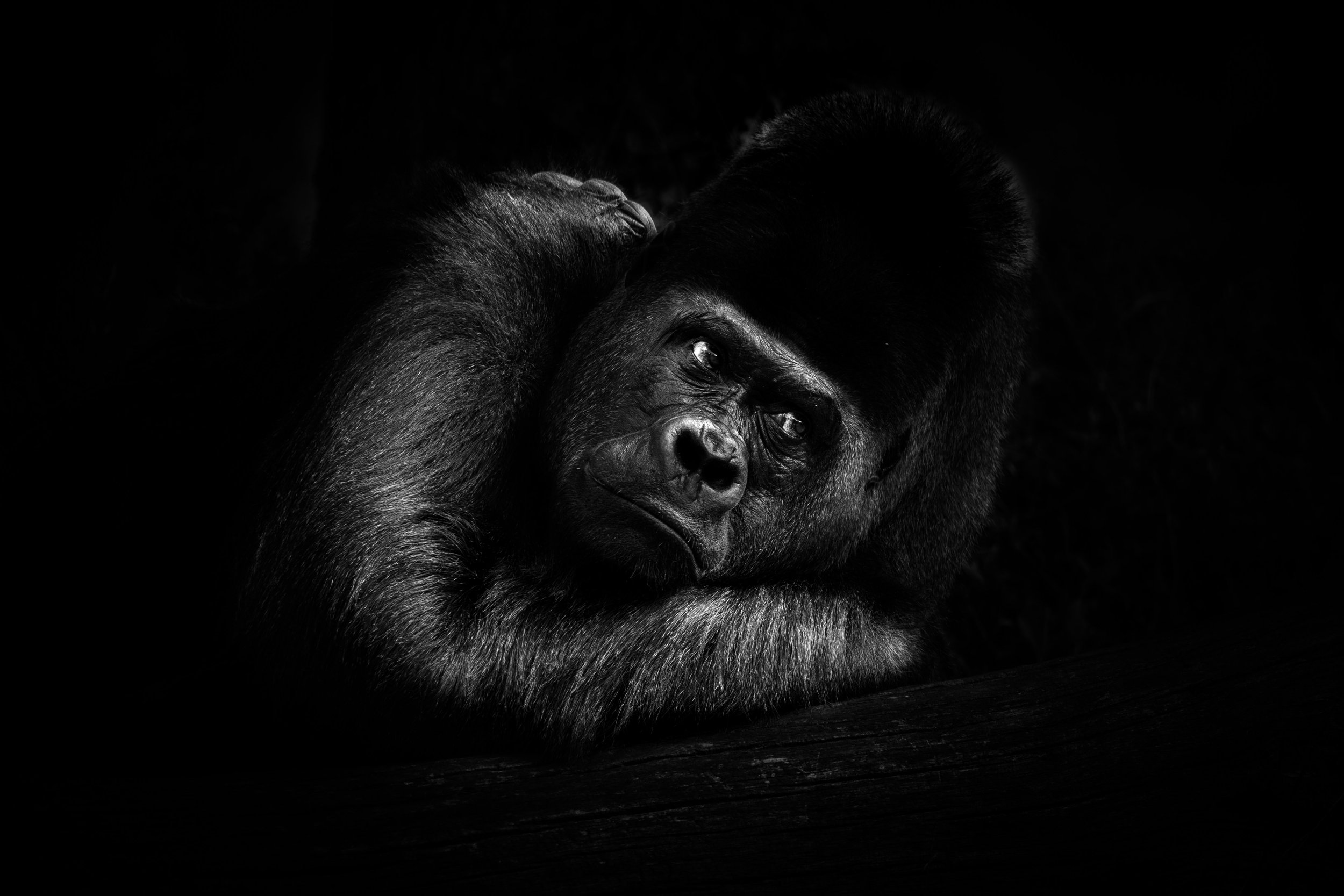 P1158712-Avec accentuation-Bruit-32.jpg