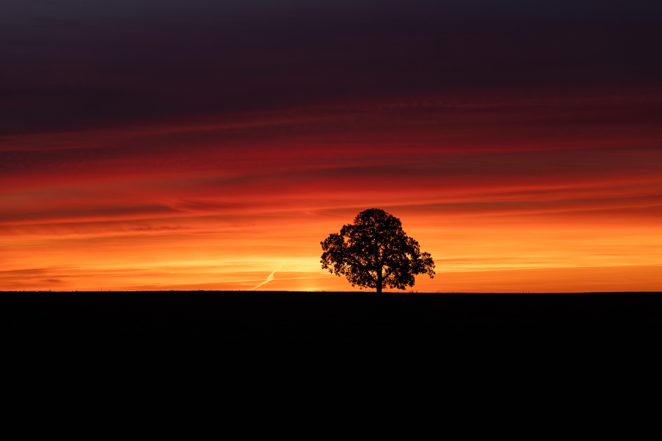 P1203211-Avec accentuation-Bruit-1.jpg