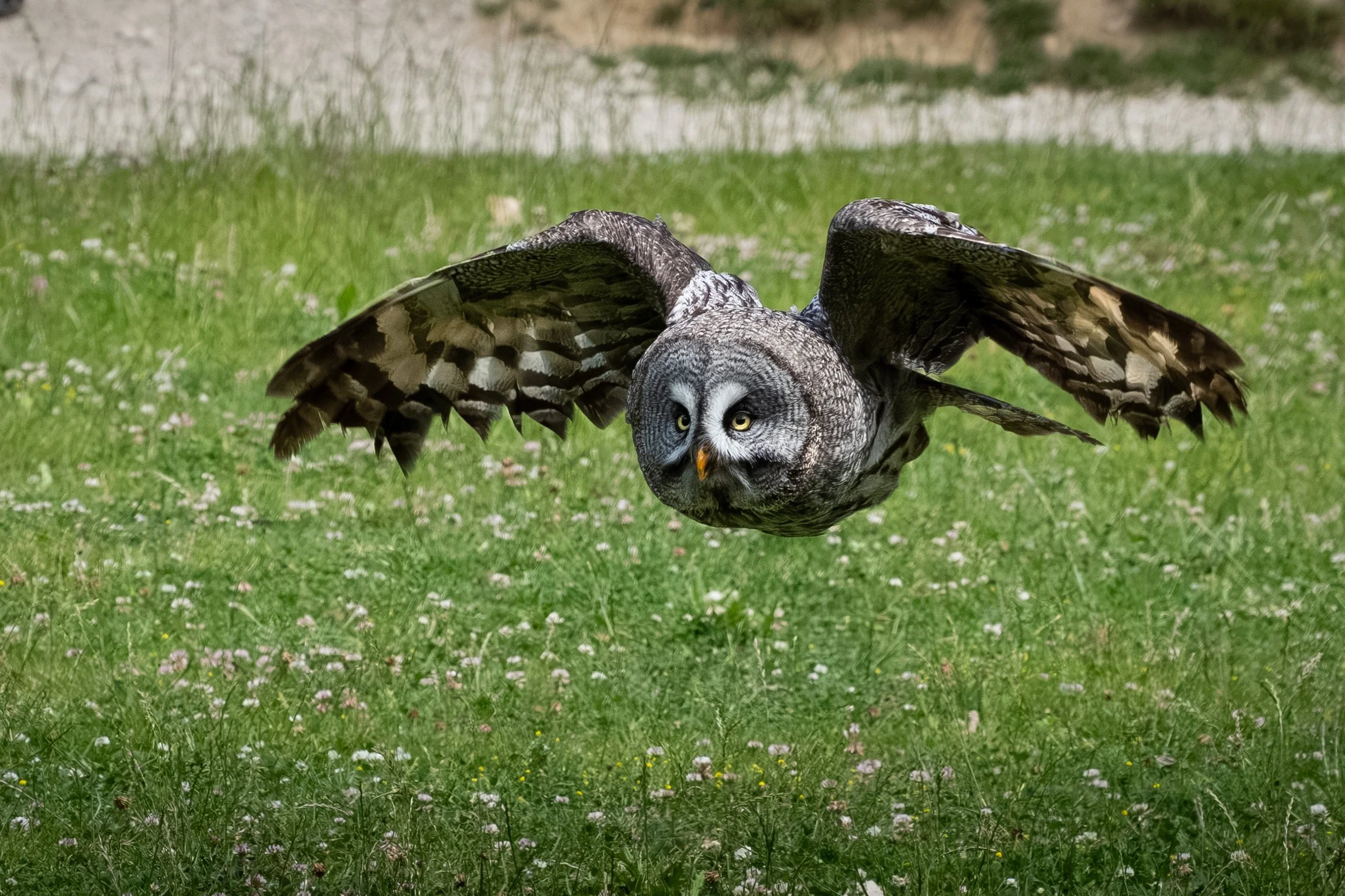 P1034572-1.jpg