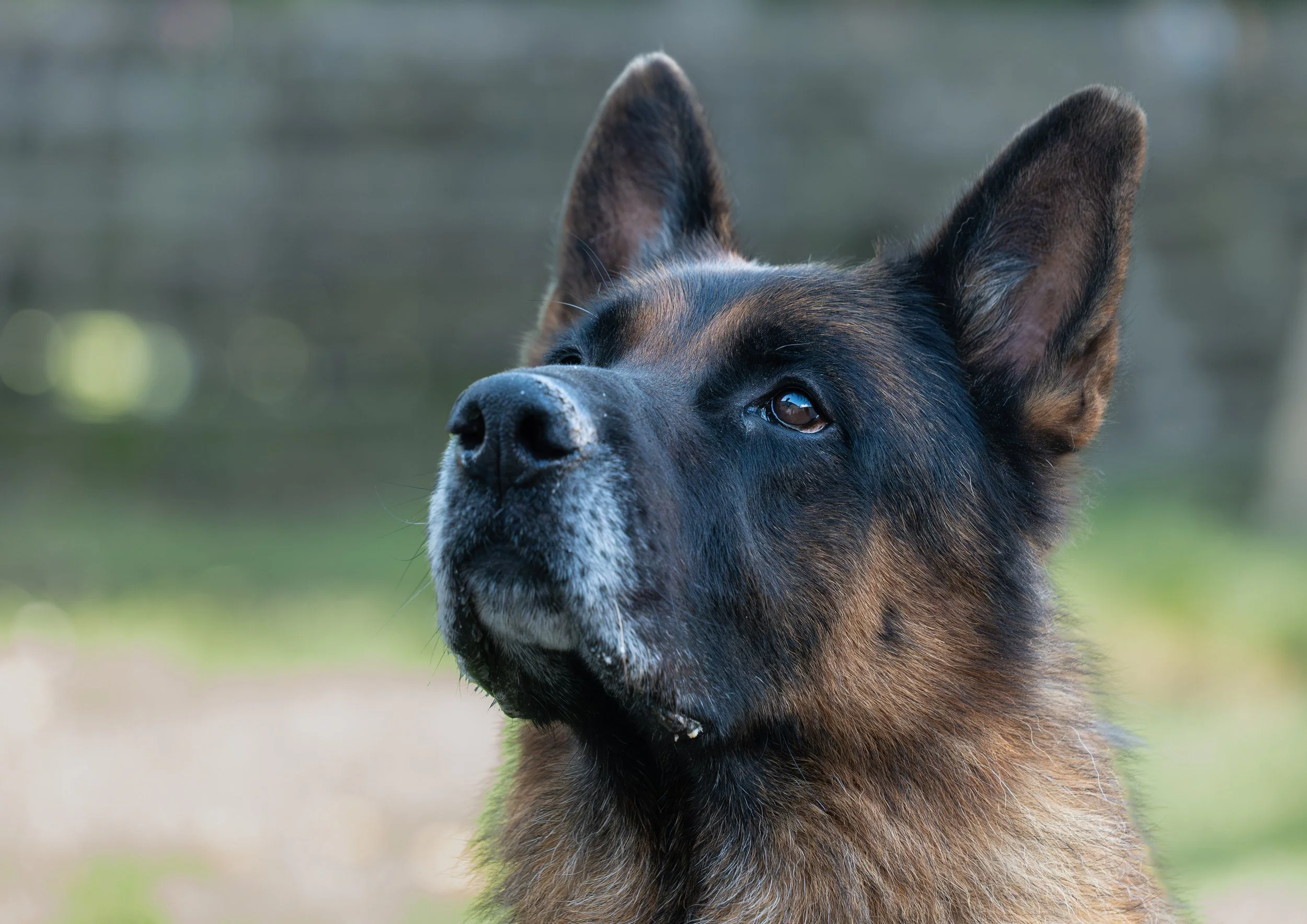 P1067838-Avec accentuation-Bruit-1.jpg