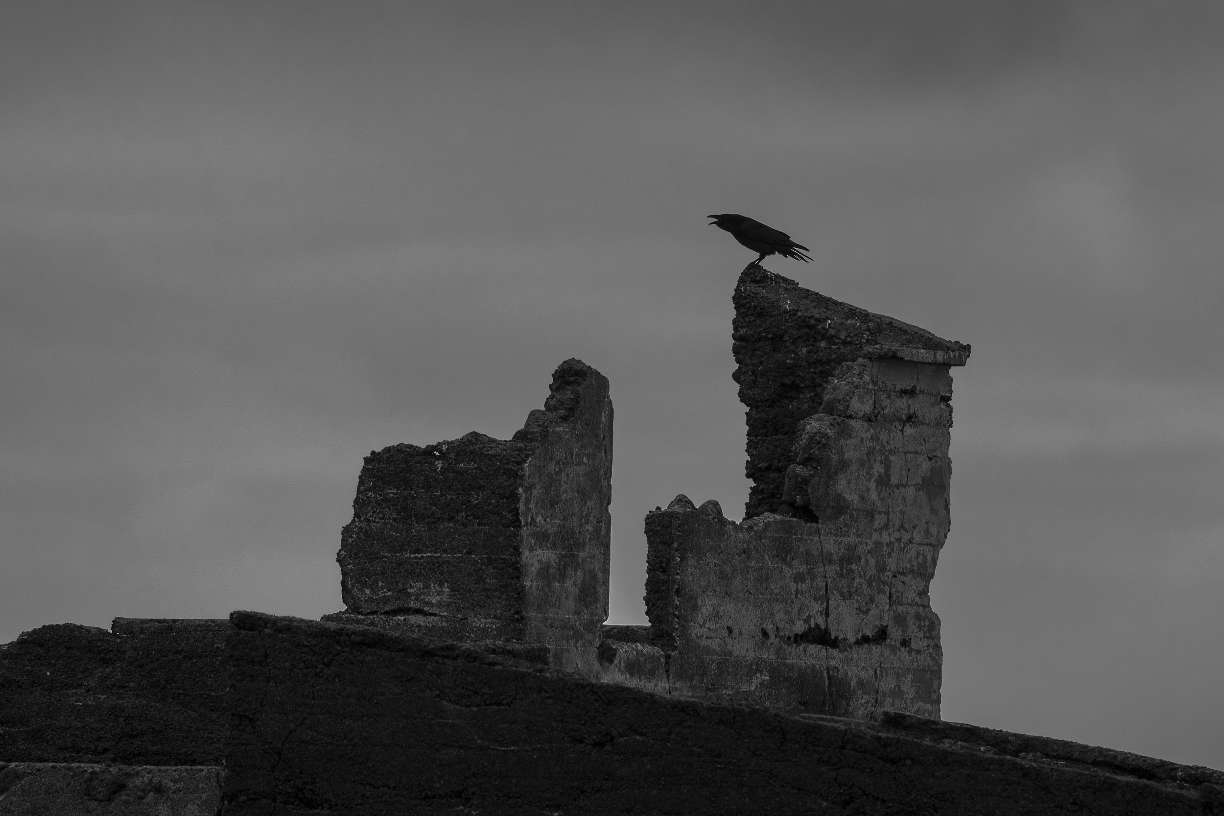 P1284333-Avec accentuation-Bruit-1.jpg