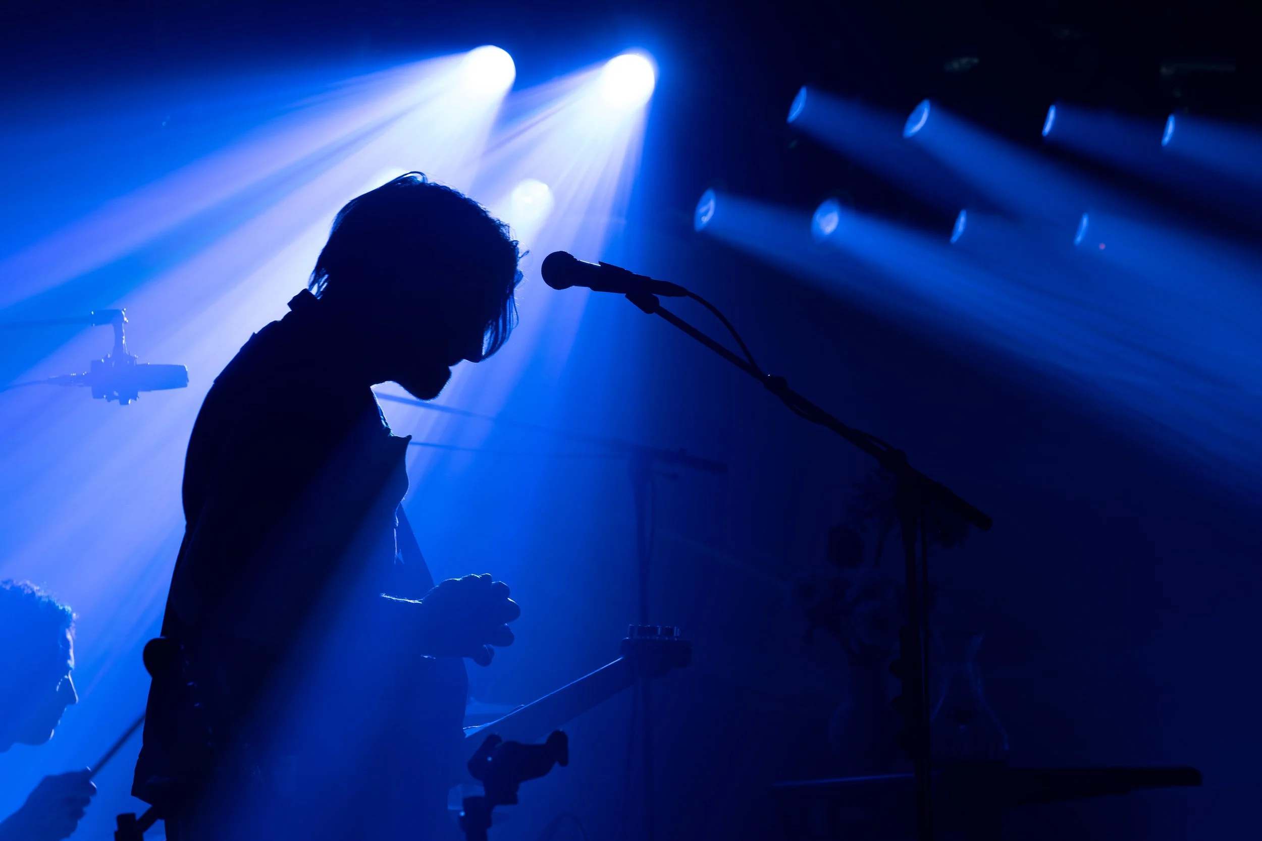 P1238597-Avec accentuation-Bruit-19.jpg