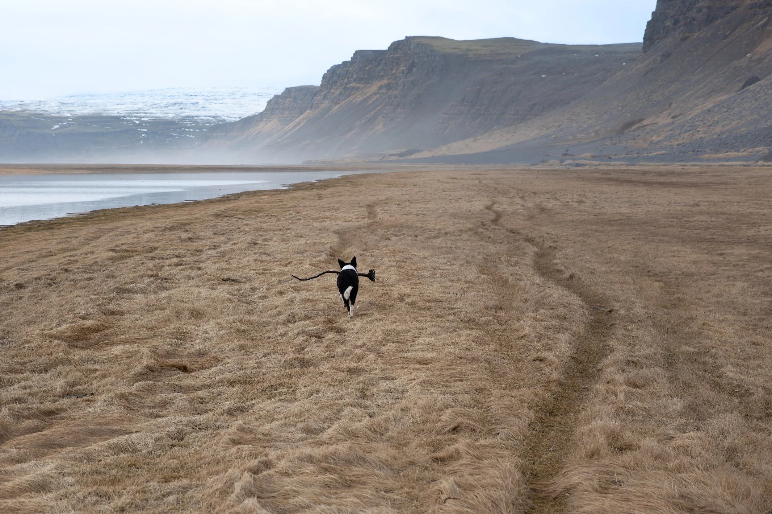 P1273468-Avec accentuation-Bruit-89.jpg