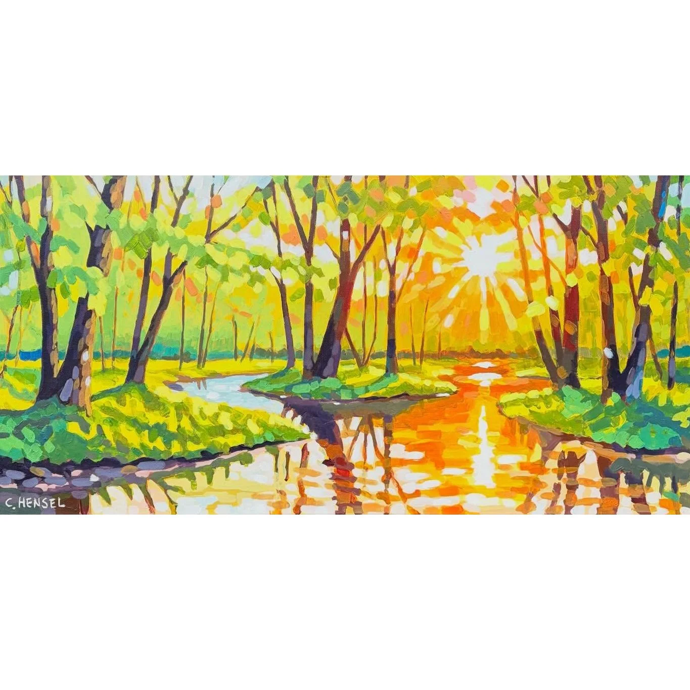 Woods to Water