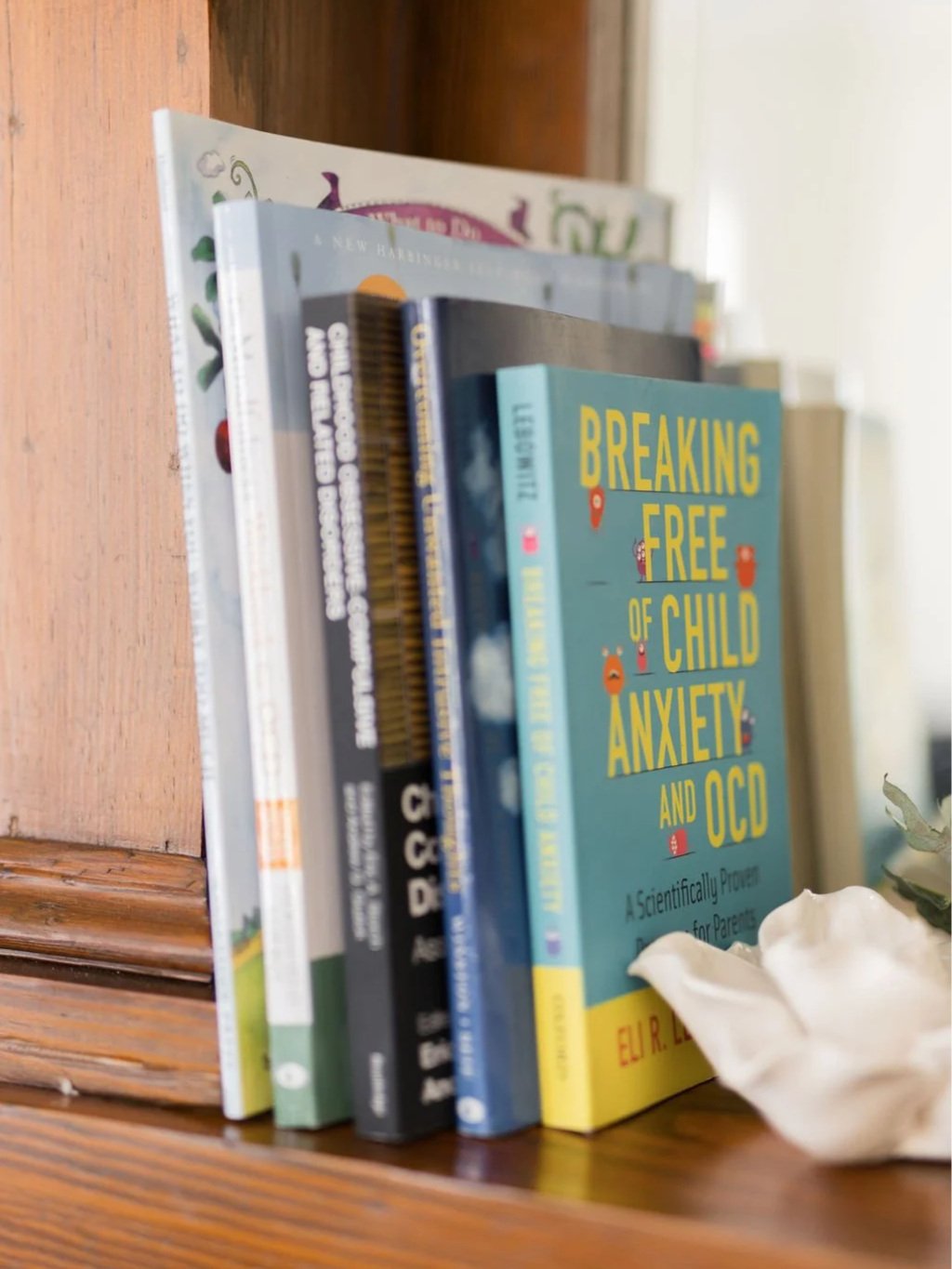 A row of books on a wooden shelf, with the prominent book titled 'Breaking Free of Child Anxiety and OCD' by Elu R. L. on the front. The books are arranged vertically and varied in size and color.