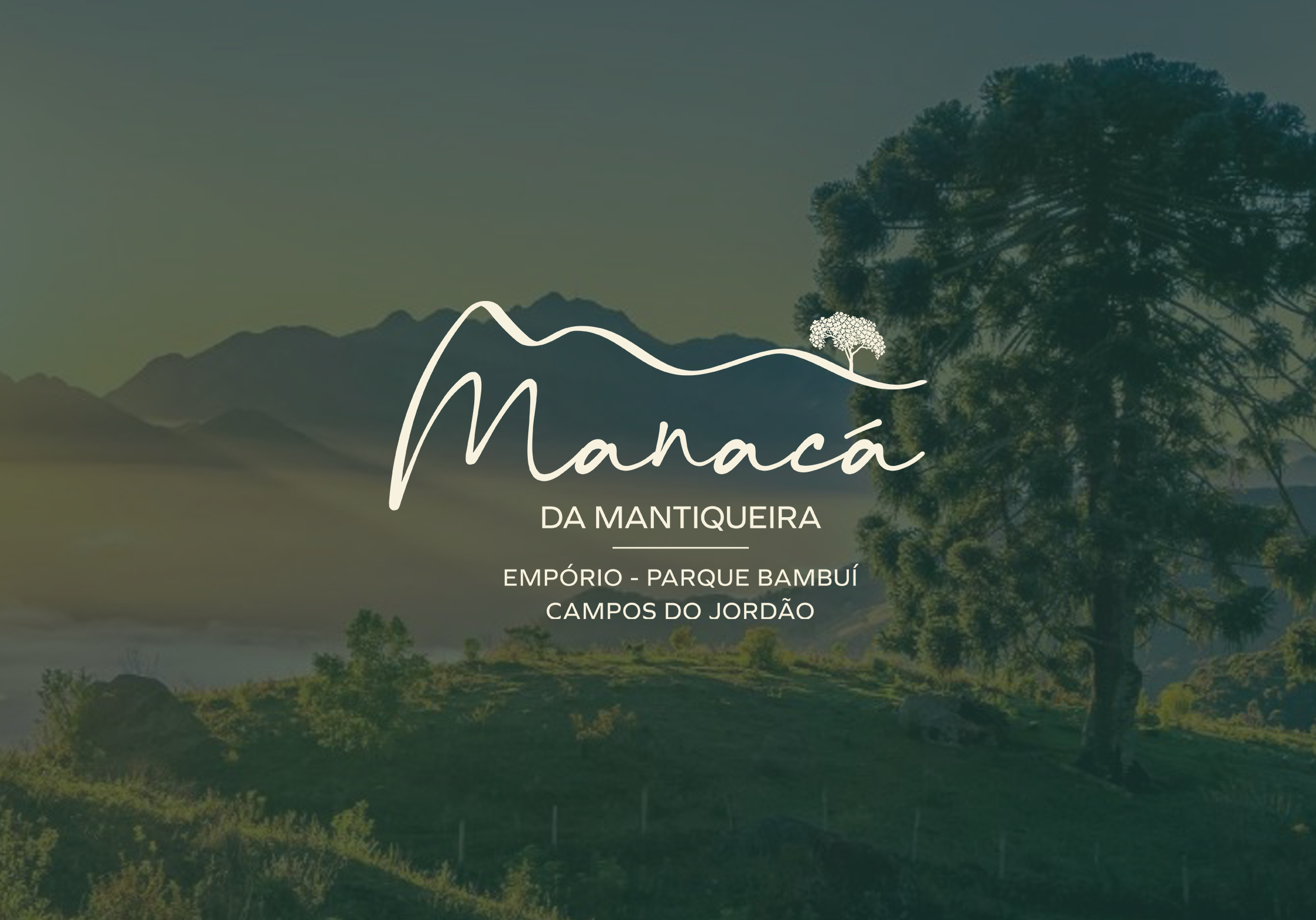 Manacá da Mantiqueira