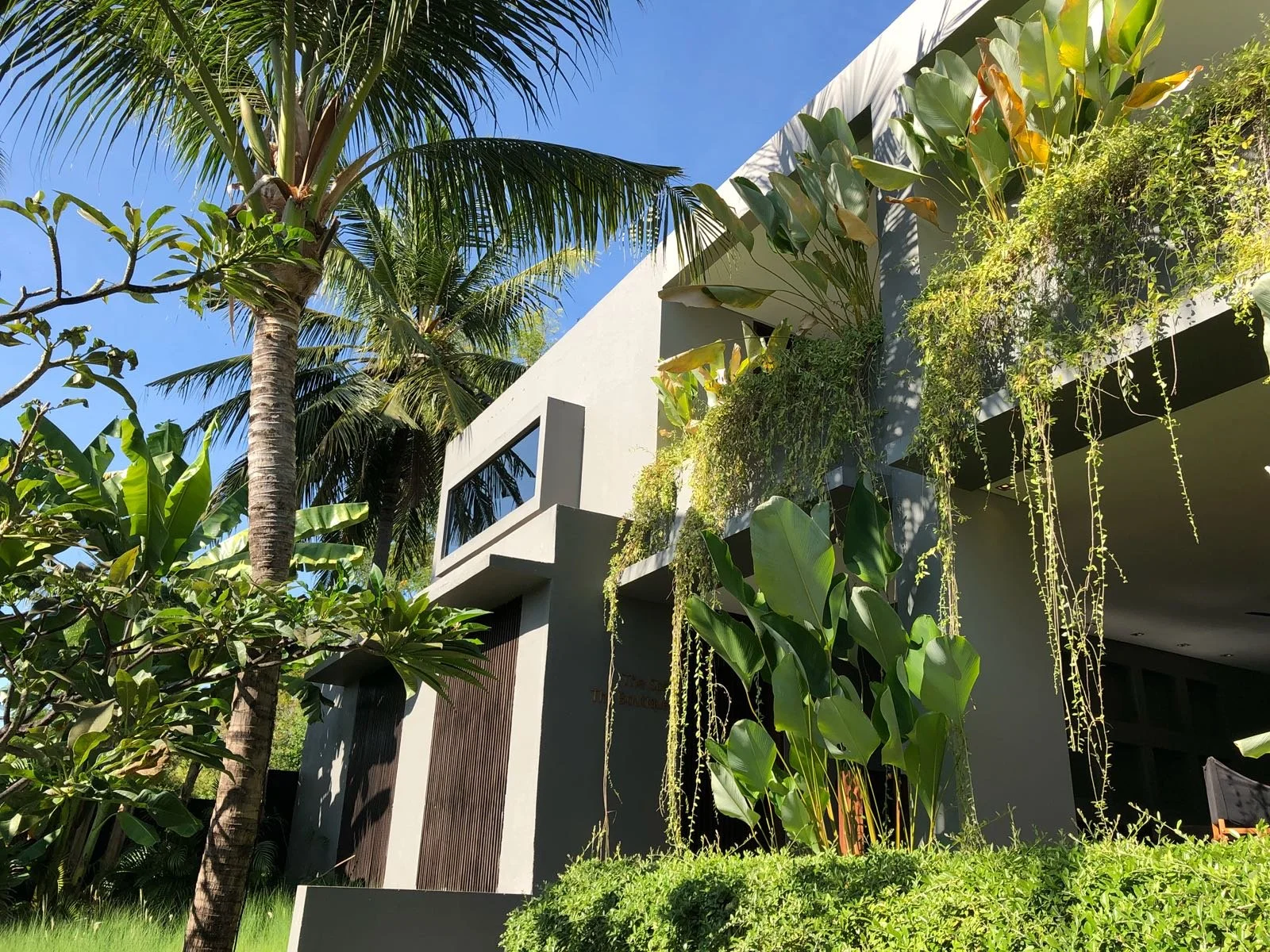 PHOTO-2018-08-13-21-12-07 2.jpg