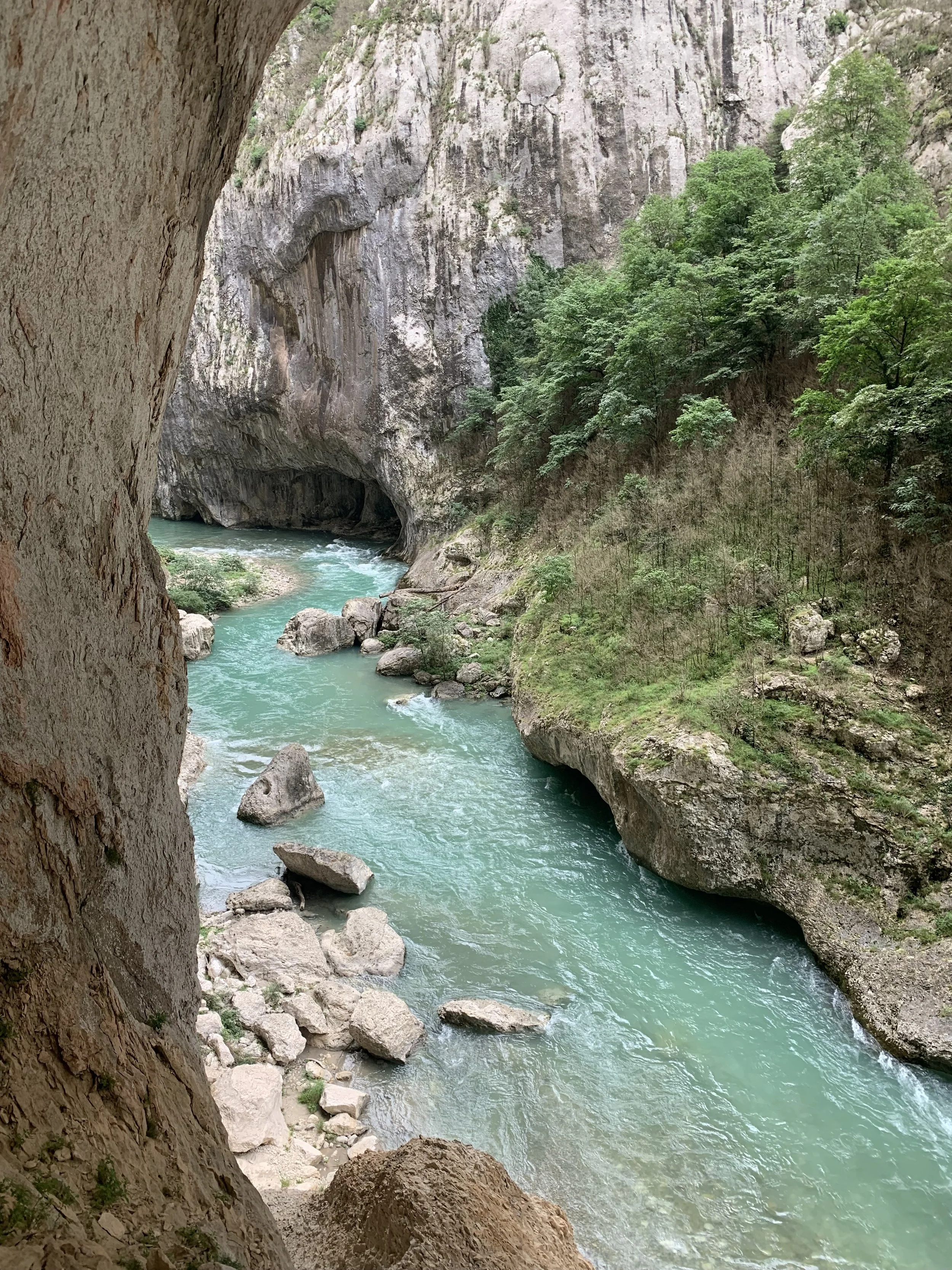 IMG_7421.jpeg