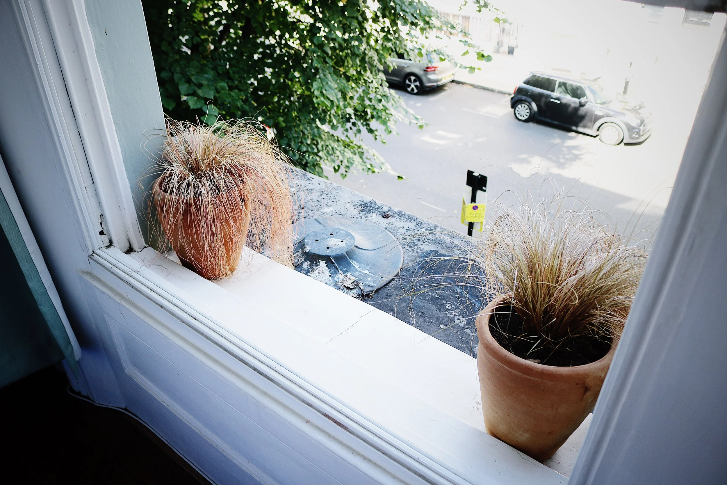 image00011.jpeg