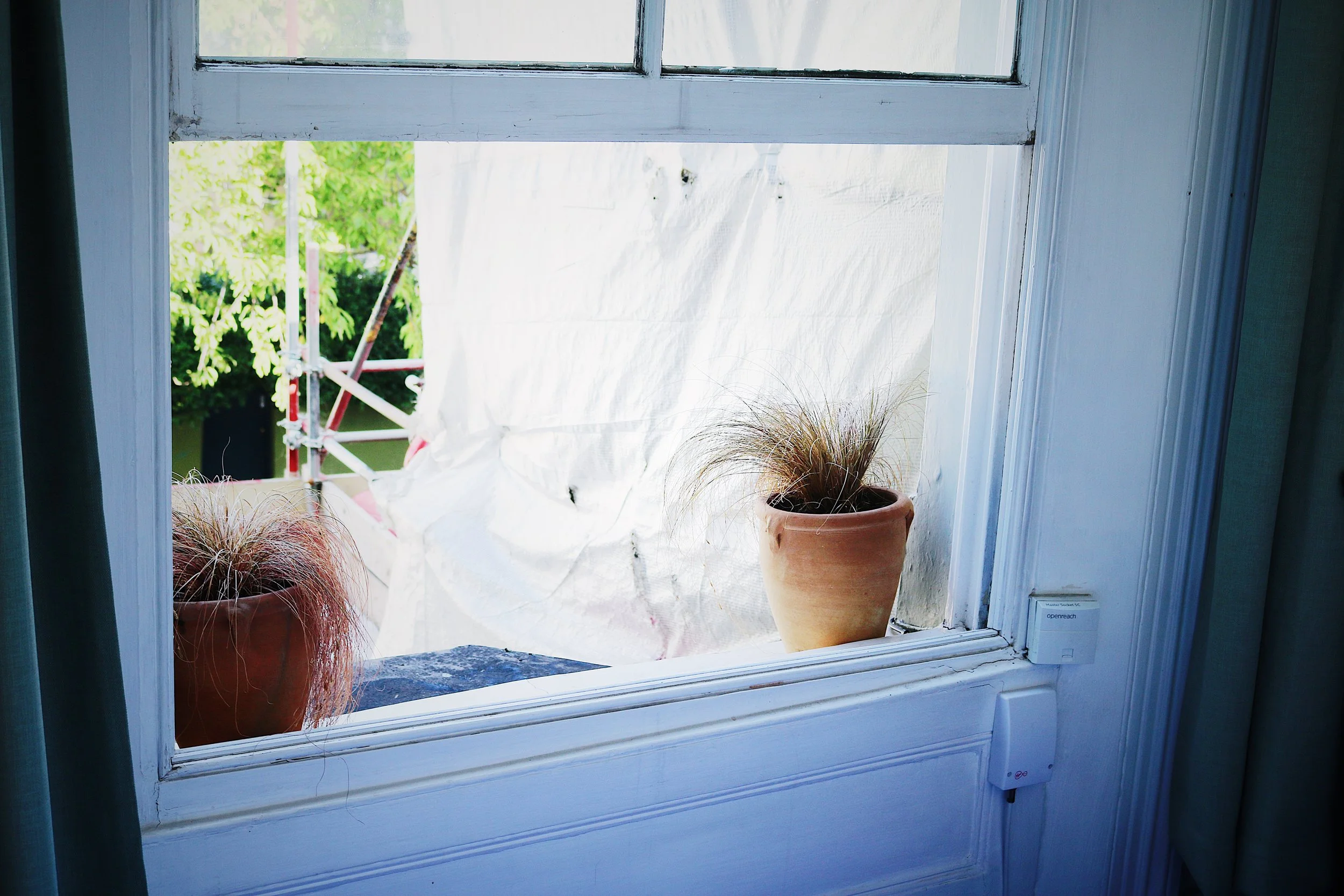 image00012.jpeg